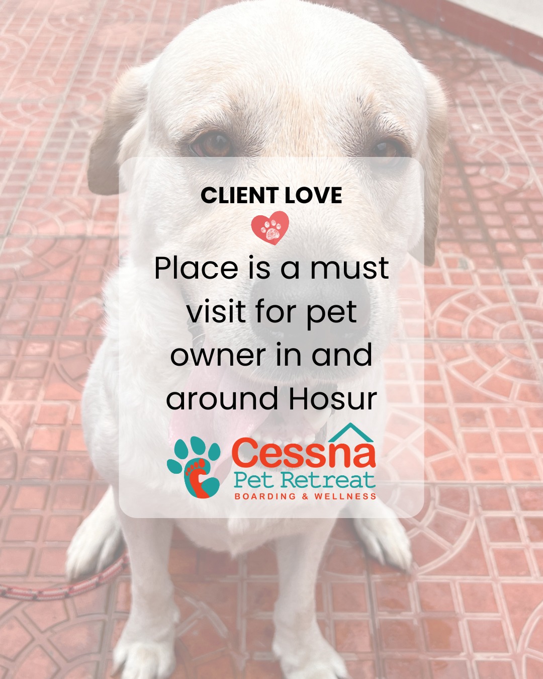 🐾💛 Nothing speaks louder than happy pets (and happier parents).
Thank you for trusting us with your furry family.
Because at Cessna Pet Retreat, it’s never “just pet boarding”…
it’s care, comfort, and peace of mind.
📞 Call 76196 34627 to book your pet’s stay
