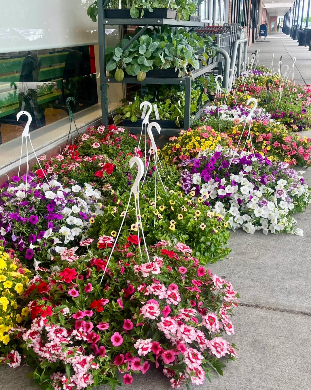 Hanging flower baskets have officially arrived! These beautiful arrangements are fresh just in time for Mother’s Day 💐 We will also have standard bouquets available (and keep an eye out for what our vendors will have at the Sunday Farmers Market as well)