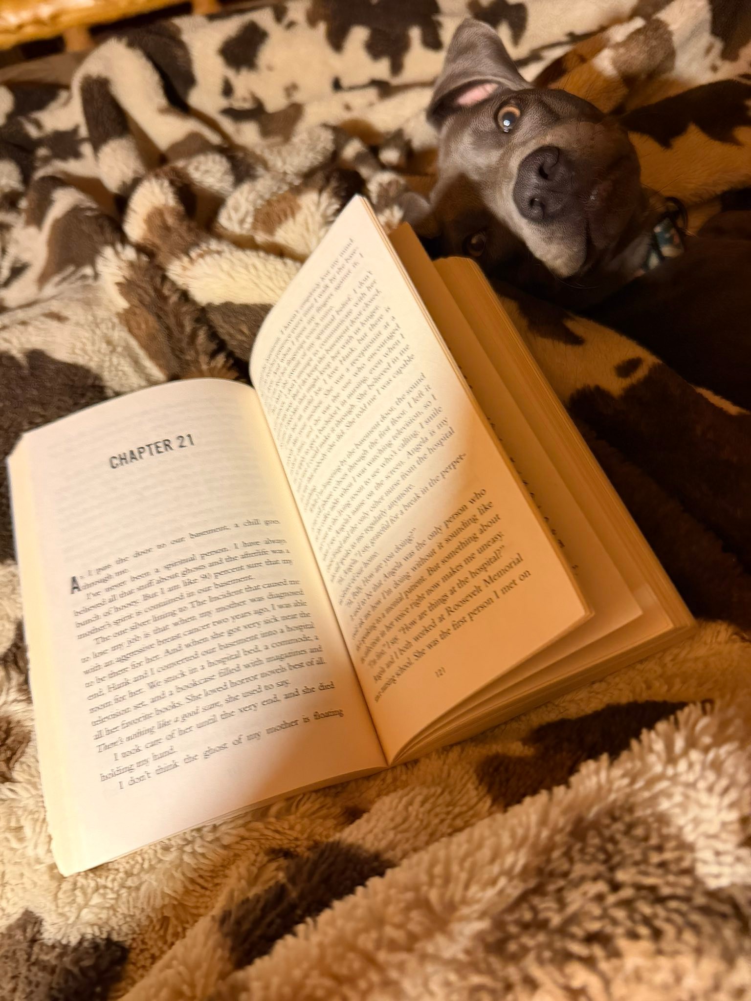 I should have known from my book haul and poll yesterday I would be deep diving into another Freida book today. I started this morning.. I need to put the book down now😳 I know this ride is about to get reallll wild as usual 😬😬😎🤎 enjoy the 🐕 creeper in the background 😂