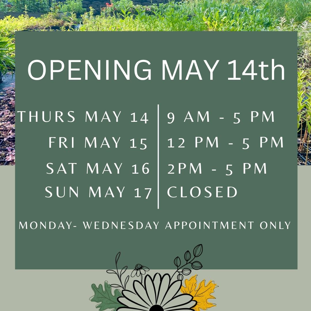 WE OPEN MAY 14th! 🌿
We’re trying something new this year - a mix of open hours and appointment-only visits. What does that mean? More flexibility for everyone!
We’ll plan to have open hours on Thursdays, Fridays, and Saturdays. PLUS most Saturday mornings, you can also find us at the Hudson Farmers Market on Carmichael 🌱
Our hours may change a bit from week to week as we balance family and all the things life throws our way... so be sure to keep an eye on updates before stopping out.
We’re excited to welcome you back for another season! 💚