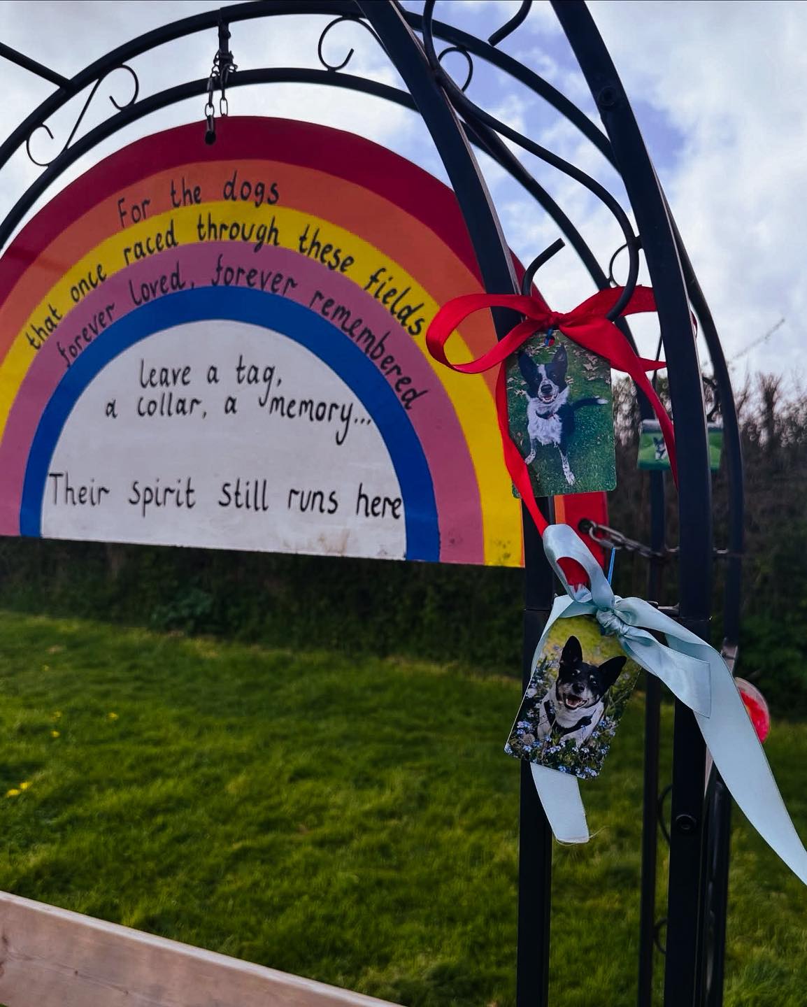 We wanted to share some very special memories that have been added to the Rainbow Bridge in the Main Field. We are very touched to know that Bud and Fin loved the fields and shared many cherished moments with their family here.
We can all sympathise with the heartbreak of losing your dogs, so thank you so much for sharing these with us ๐ค
Thinking of you x
โFor the dogs that once raced through these fields, forever loved, forever remembered. Leave a collar, a tag, a memoryโฆ their spirit still runs here.โ
#WanderlustWalkies
#PetLoss
#PetMemorial
#RainbowBridge
#SecureDogField