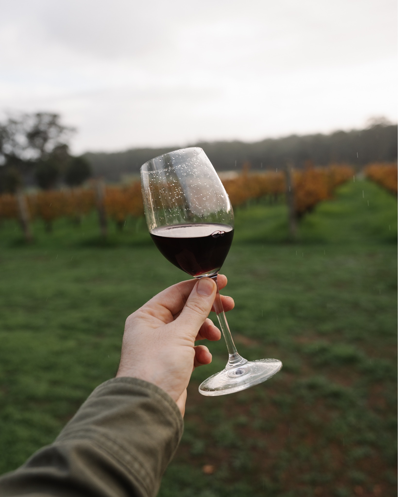There’s something special about autumn in the Southern Forests, and the Wine, Pizza & Truffle Palooza upcoming event is a perfect excuse to experience it for yourself.
On Saturday, 23 May, Deitos Vineyard Wines opens its doors for a day celebrating local flavour, craftsmanship and connection to place. From 10am, enjoy complimentary wine tastings, including their renowned Pinot and Chardonnay, and hear directly from Fabio the winemaker about the journey from vine to glass.
As the afternoon rolls in, the woodfired oven takes centre stage. From 2:30pm, authentic Italian-style pizzas will be available, crafted with care and topped with seasonal ingredients. For those wanting to take it up a notch, freshly harvested Manjimup black truffle can be added, bringing that unmistakable depth of flavour straight from the region’s soils.
It’s a relaxed, flavour-filled day that brings together wine, food and the people behind it, all in one place.
📍 Manjimup
🕙 From 10am | 🍕 Pizza from 2:30pm
🎟 Free entry | Food and drinks available for purchase
👉 Find out more via the event link in our bio
A true taste of the Southern Forests in autumn.
#GenuinelySouthernForests #SouthernForestsWA #Manjimup #TruffleSeason #AutumnEvents #LocalWine