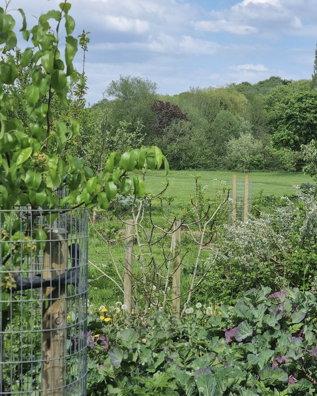 #PebbleMillPlayingFields #ForestGarden basking in the sun last week, along with regular passerby's enjoying a sit down amongst the trees.