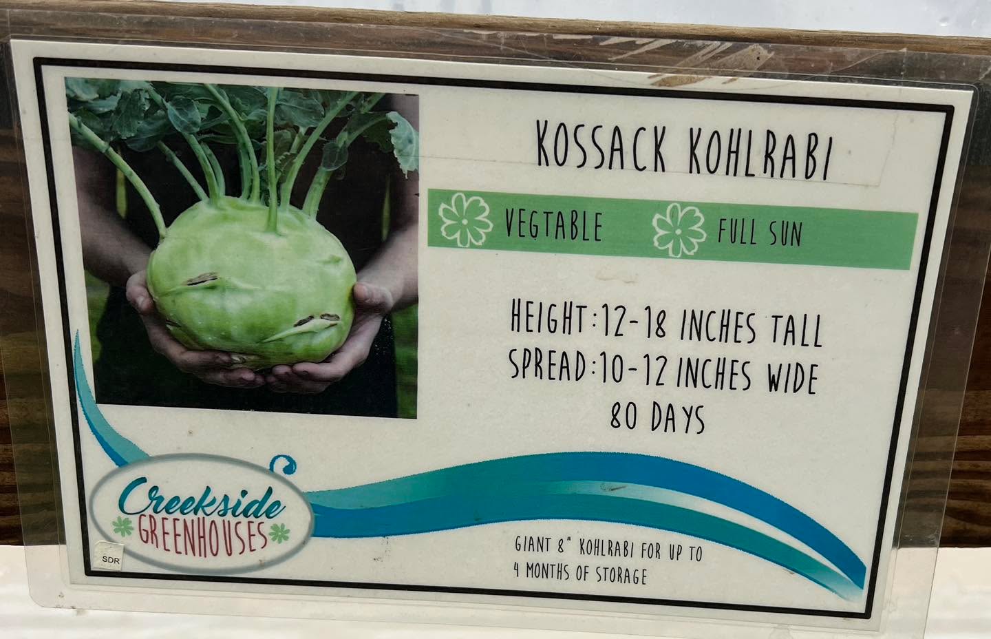 Mother Nature is sure taking her time to turn up the heat, but don’t let that slow down your veggie planting! Did you know that broccoli 🥦 , cabbage 🥬, cauliflower, kohlrabi & brussel sprouts 🌱 are cold crops & will be just fine until the temp rises!