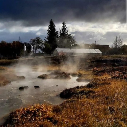 One fascinating bit of local history is that people in Hveragerði used geothermal hot springs as their kitchen, lowering pots directly into the naturally boiling ground to cook meals and bake bread long before modern stoves existed.
See you in Hveragerði 👋
#Hveragerði
#GeothermalLiving
#IcelandHistory
#HotSpringCulture
#GeothermalTown