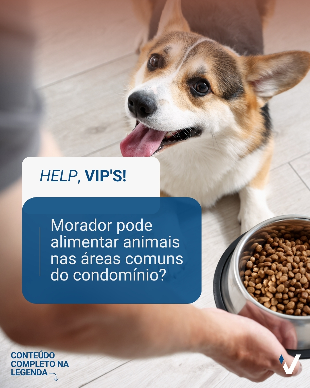 A intenção pode ser boa, mas alimentar animais em áreas comuns exige cuidado e responsabilidade.
Além de impactar a limpeza e a circulação, a prática pode atrair outros animais e gerar desconfortos entre moradores.
Quando o assunto é convivência coletiva, equilíbrio e organização fazem toda a diferença.
VIP’S 25 anos – Porque viver bem começa com uma boa gestão.
#condominio #convivencia #areascomuns #gestaocondominial #vipscondominios