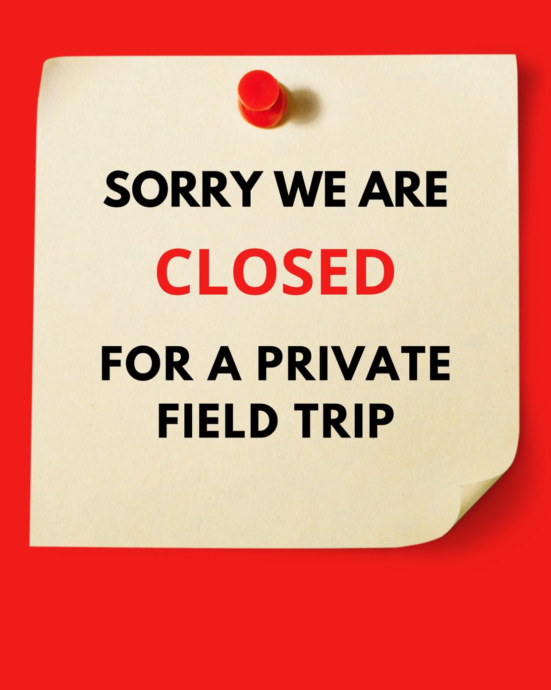 *NOTE
We will be CLOSED tomorrow morning from 9:30-11:30a for a private field trip.
Thank you for your understanding!