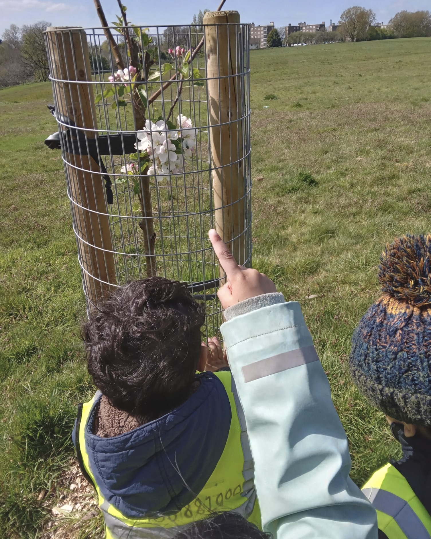 The children of @greencoatnursery at Billesley Ark have been enjoying our young orchard on #BillesleyCommon, #Billesley. This is exactly what we like to see: youth engaging with the trees on our shared orchards and forest gardens.
@bosfonline