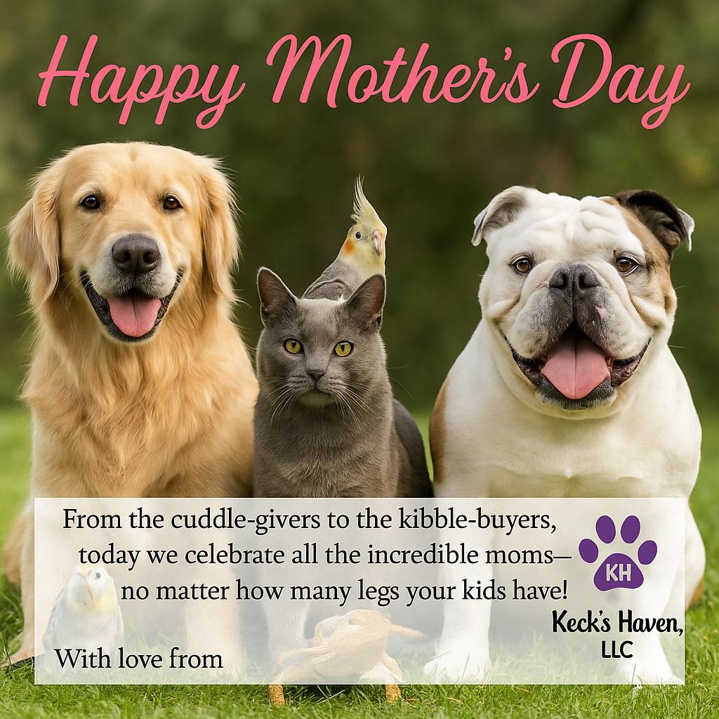 Wishing all the Moms a day of peace, love, and rest!! Have a great day! šš„³š§ #dogsitternearme #petsitternearme #dogwalkernearme #keckshaven #ofallondogwalker #petsitting #petsarethebest #ofallonpetsitter #bestpetparentsever #bestpetparentsever #petsitterslife #newpuppy #newemployeesrock #loveourpetsitters #dogsoflakestlouis #googlepetsit #lovenewclients #kecksrock #dogwalks #petsittingbusiness #dogsofofallon #bestpetever #petsareourbusiness #keepingthemsafeathome #petsittersinternational #dogsofwentzville