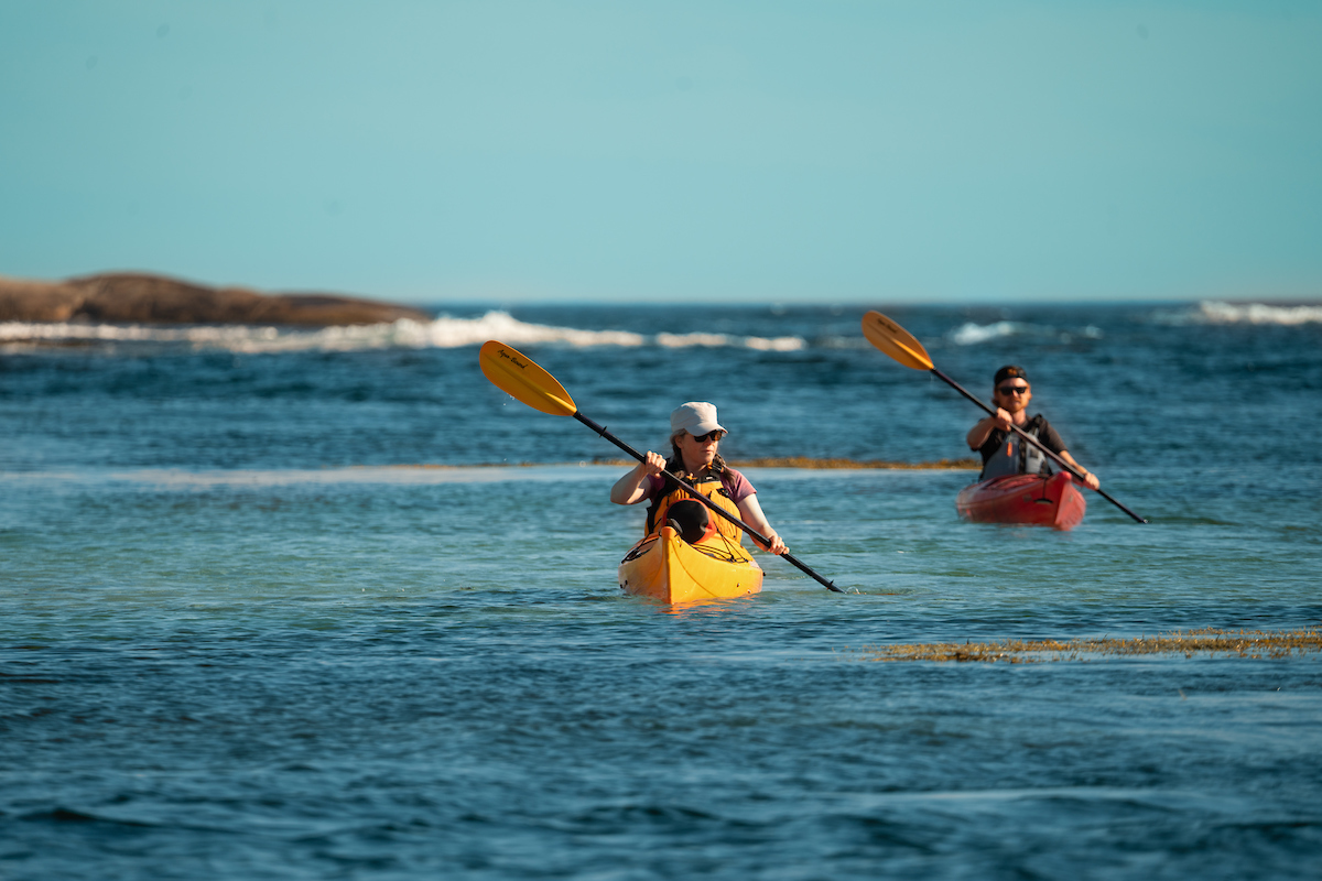 🌊 New Course Alert! 🌊
We’ve just added a new date to our 2026 @paddlecanada lineup! Ready to level up your adventure? Join us for:
🛶 Sea Kayak Tripping: Paddle Canada Level 2, Oct. 1-4. 2026 🛶
Whether you’re looking to refine your skills or prep for your next big expedition, we’ve got you covered. We also have space available in our upcoming May sessions:
🗓️ May 17: Basic Kayak Skills Course
🗓️ May 23–24: Level 1 Sea Kayak Skills Course
✨ Ready to jump in?
Spaces are filling up! To register or grab more info:
📩 DM us right here
📧 Email info@eastcoastoutfitters.com
🔗 Visit the link in our bio to see all listings!
Don't forget to check out the @canoekayakns events page for more local paddling opportunities!
#EastCoastOutfitters #PaddleCanada #SeaKayaking #NovaScotiaAdventure #VisitNovaScotia #KayakingLife #ExploreNS #PaddleNS