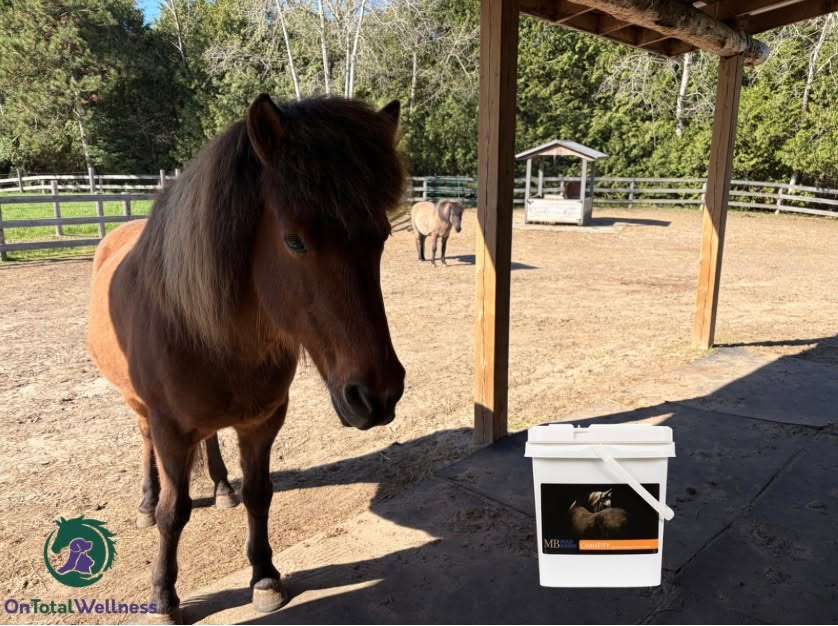 Mad Barn Omneity thoughtfully formulated with organic trace minerals, amino acids, probiotics, and biotin to help horses look and feel their best.
Available at OnTotalWellness.com
Tottenham Pickup | Canada wide shipping
#madbarn #madbarnequine #horsesupplements #horsehealth #madbarnomneity
