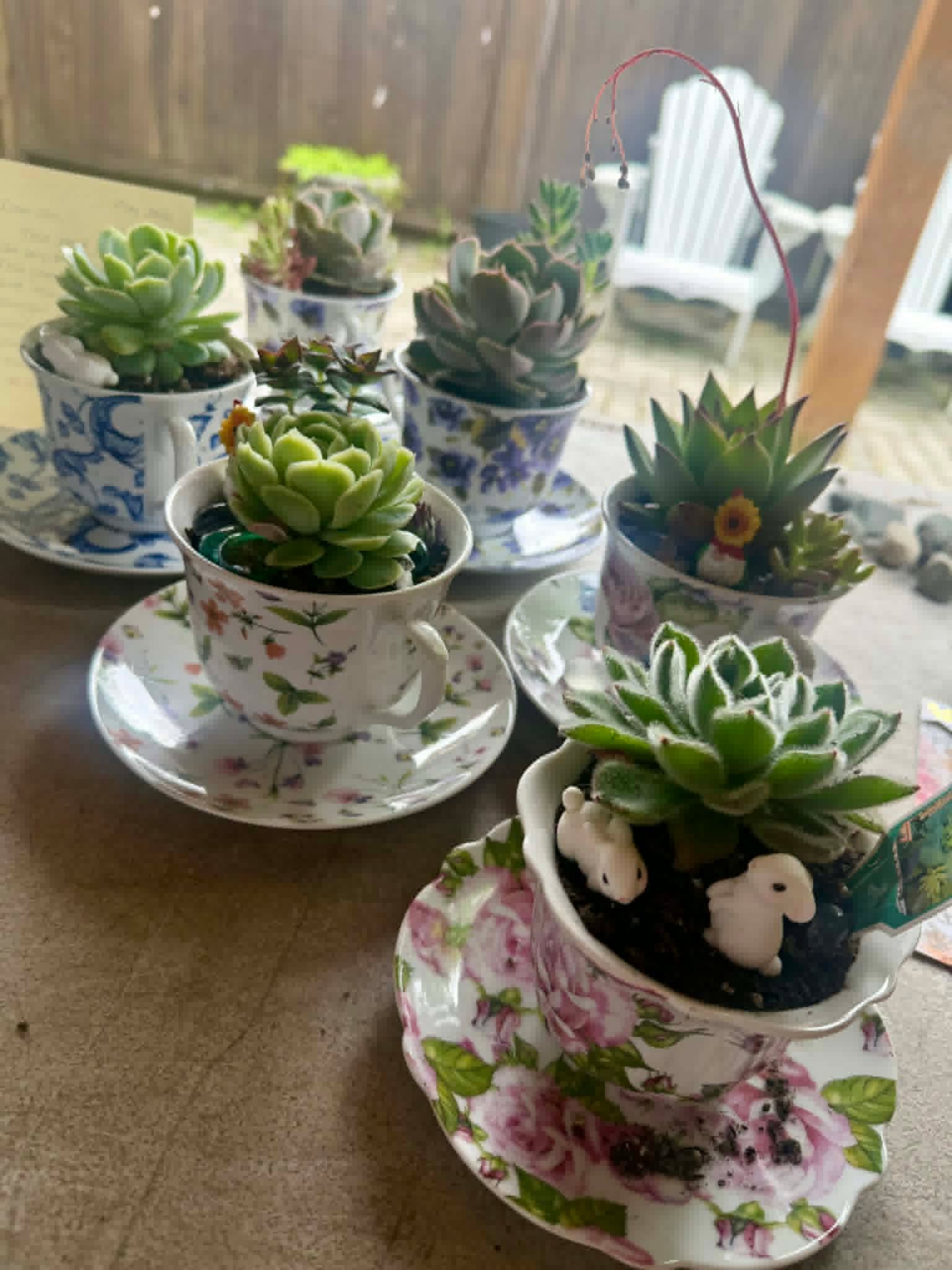 It was a busy and meaningful morning as our clients created Mother’s Day plants to gift to a mother, a mother figure, or a loved one in their lives. This year, Sandra added a special touch with her idea of using teacups as planters. We also spent time getting our house gardens ready, making the most of a morning spent together.
#womendorecover #westminsterhouse #newwestrecovery #mothersday #womensupportingwomen