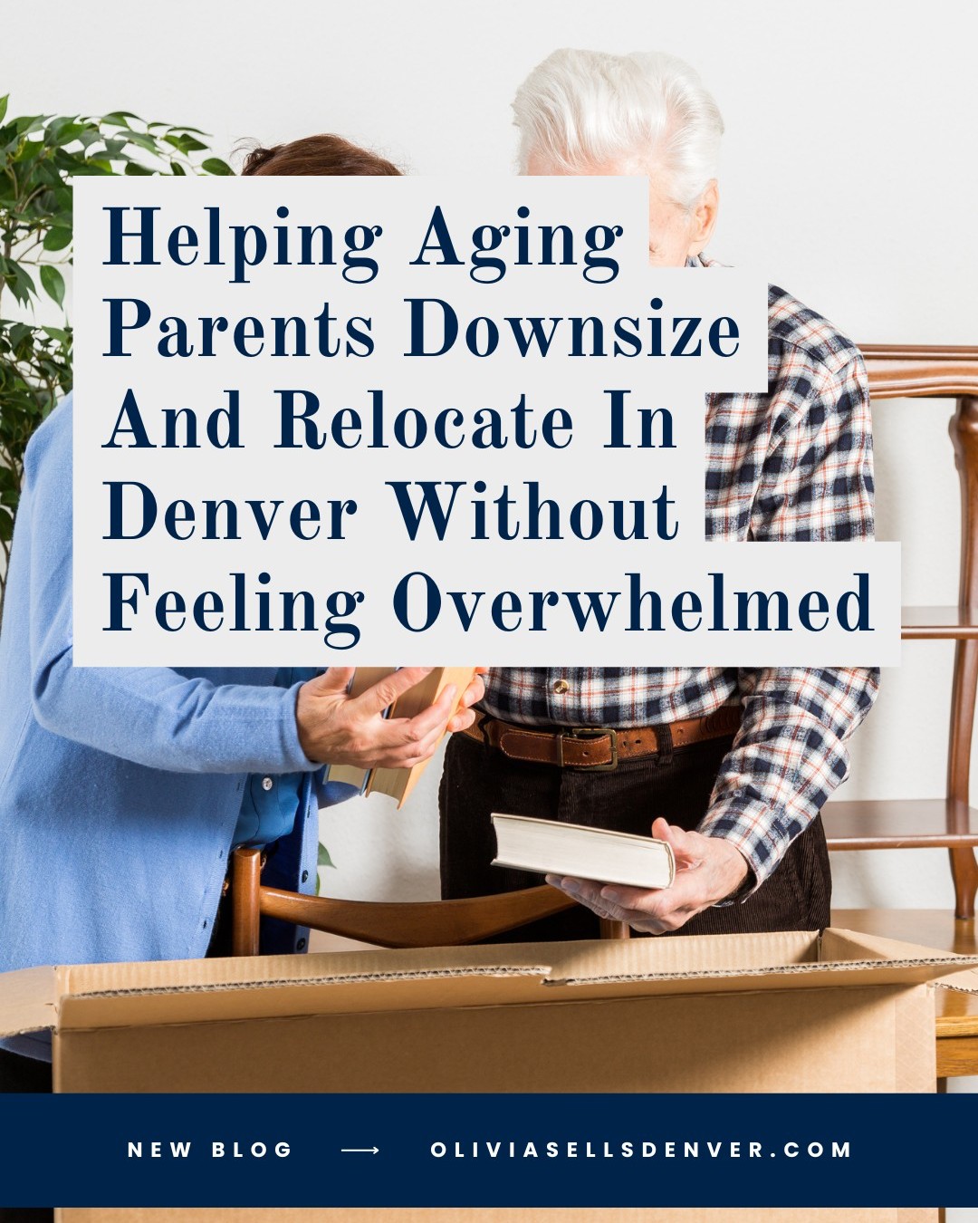 oliviamondayrealtor