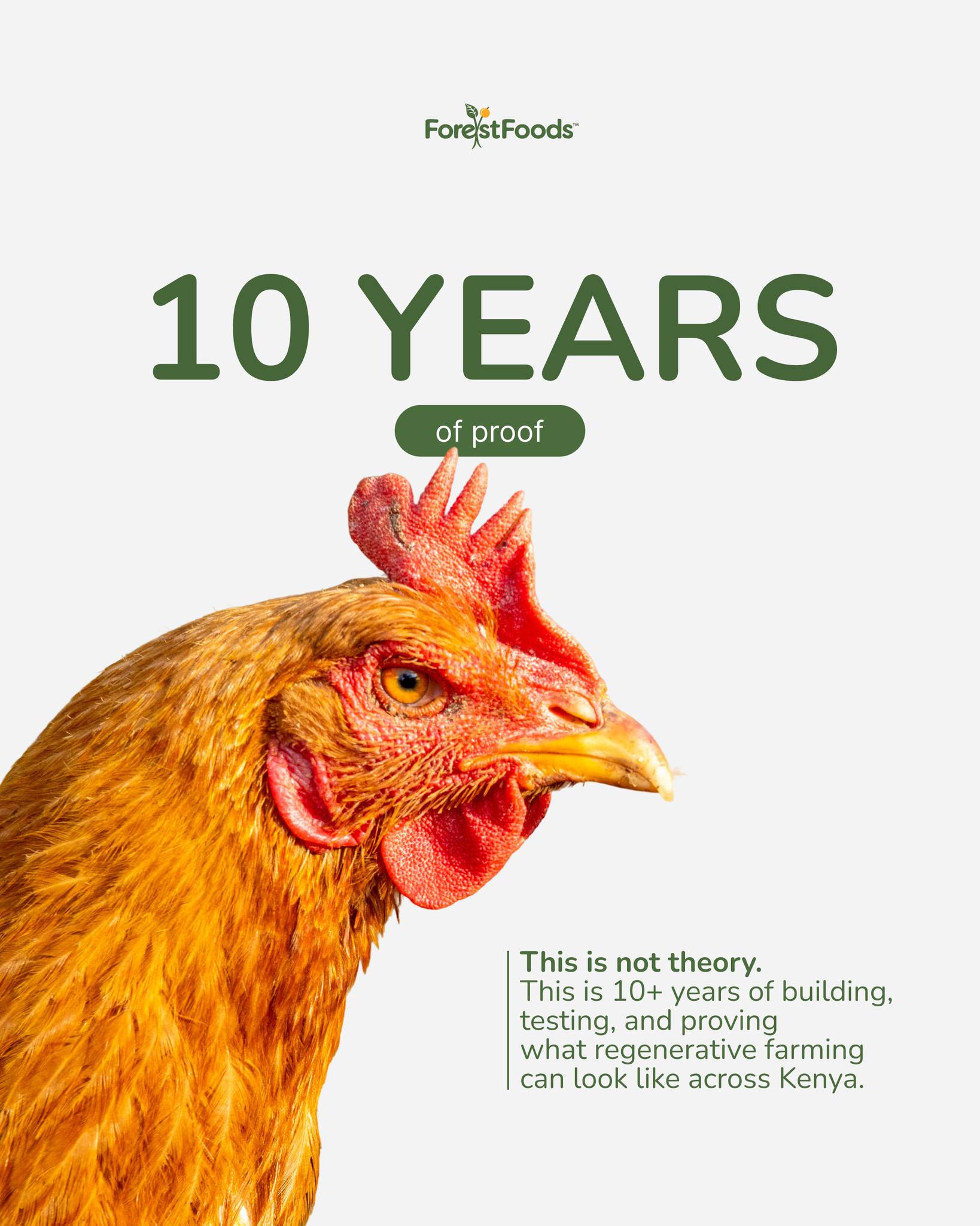 Before we ask people to believe in what comes next, we want to show what already exists.
ForestFoods has spent 10+ years building, testing, and proving what regenerative farming can look like in Kenya.
This is work built in the field: certified organic farms, farmer training, living soil, layered systems, biodiversity, production, and operational experience.
That matters because Regenerate Kenya is not a promise without proof. It is the next step in a model that has already been built, measured, and refined over time.
Now we scale the proof to Shimba Hills on the Kenya coast.
#ForestFoods #RegenerateKenya #RegenerativeFarming #LivingSoil #KenyaAgriculture #Agroforestry