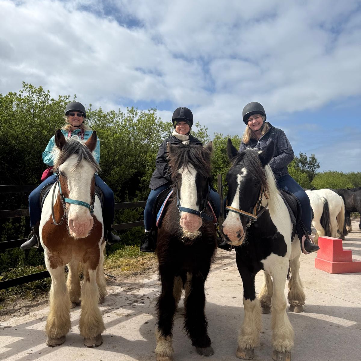 The best part about traveling in a small group is how the South by West Explorer itinerary adapts to whatever the moment calls for. ☘️
Under Jimmy’s guidance, our guests immersed themselves in a true Irish tradition. Watching them discover the landscape from the saddle is the perfect reminder that the best memories aren’t found at the crowded tourist spots, but in these moments of quiet connection and camaraderie. 💚
@thewildatlanticway @medicine_in_motion @delyndrake