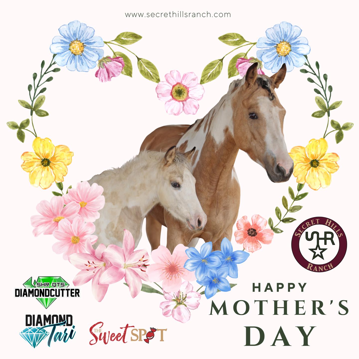 Happy Mother’s Day from Secret Hills Ranch! 🌸🐴
Today we’re celebrating all of the incredible mares who make our program so special — especially the amazing “baby mommas” of SHR QTs DiamondCutter, Diamond Tari, and The Sweet Spot. Thank you for raising the next generation with strength, patience, and heart.
And to our own SHR mares — thank you for being such wonderful mothers to your babies and such an important part of our ranch family. 💕
Wishing all the moms, both two-legged and four-legged, a beautiful Mother’s Day!
www.secrethillsranch.com