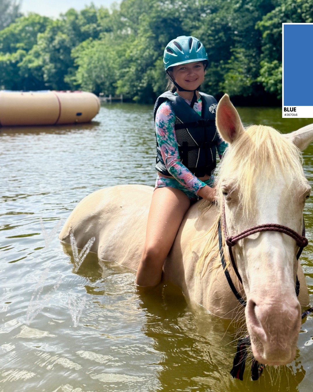 One of the most unforgettable moments of summer camp? Swimming with horses in the lake.
(๐ค๐ฐ๐ฎ๐ฎ๐ฆ๐ฏ๐ต ๐พ๐ผ๐๐ ๐ข๐ฏ๐ฅ ๐ธ๐ฆโ๐ญ๐ญ ๐๐ ๐บ๐ฐ๐ถ ๐ญ๐ช๐ฏ๐ฌ ๐ต๐ฐ ๐ณ๐ฆ๐จ๐ช๐ด๐ต๐ฆ๐ณ)
Each week, campers in our Pony Camp, Riding Camp, and Level Up Camp have the opportunity to experience one of the most loved activities at Davie Ranchโriding their horses into the lake and making memories theyโll talk about long after summer ends.
Itโs the perfect blend of:
โ๏ธ Outdoor adventure
๐ด Hands-on horse experiences
๐ฟ Confidence building
๐ Pure summer magic
If your child dreams of horses, loves the outdoors, and is ready for a summer filled with adventure, friendship, and unforgettable experiences, this is where they need to be.
Weekly summer camps are filling quickly.
Register online today and give your child a summer theyโll never forget.
(๐ค๐ฐ๐ฎ๐ฎ๐ฆ๐ฏ๐ต ๐พ๐ผ๐๐ ๐ข๐ฏ๐ฅ ๐ธ๐ฆโ๐ญ๐ญ ๐๐ ๐บ๐ฐ๐ถ ๐ญ๐ช๐ฏ๐ฌ ๐ต๐ฐ ๐ณ๐ฆ๐จ๐ช๐ด๐ต๐ฆ๐ณ)
๐ Davie Ranch | Davie, Florida
Summer horse camp in Davie Florida featuring swimming with horses, horseback riding lessons, lake adventures, outdoor activities for kids, and unforgettable summer camp experiences.