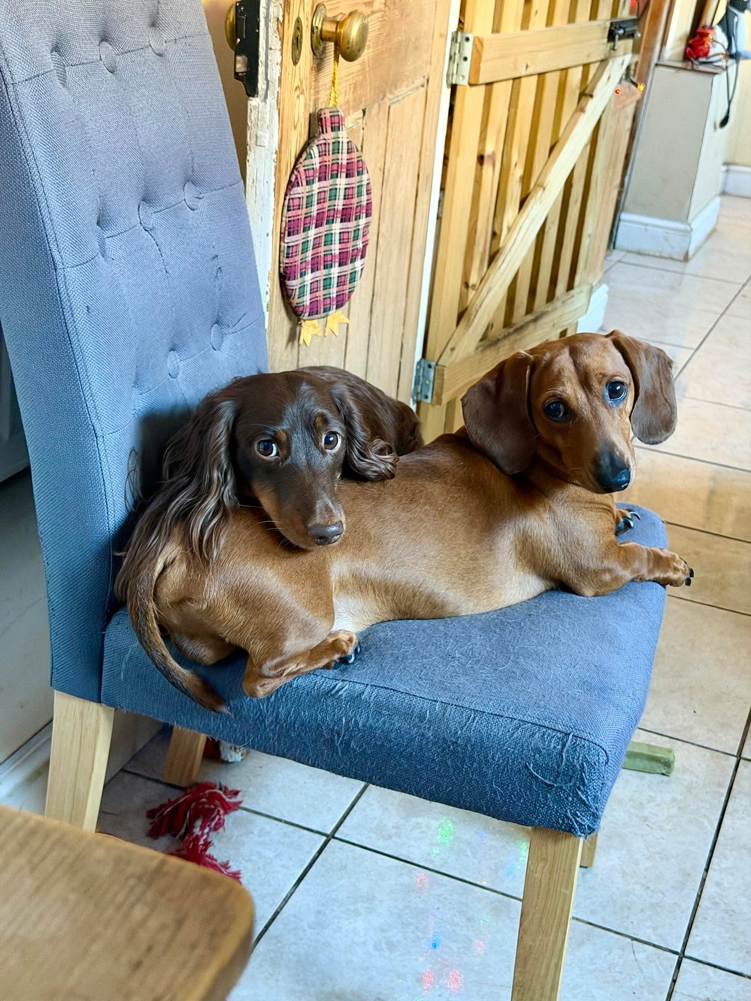 My boys…. 💙💙