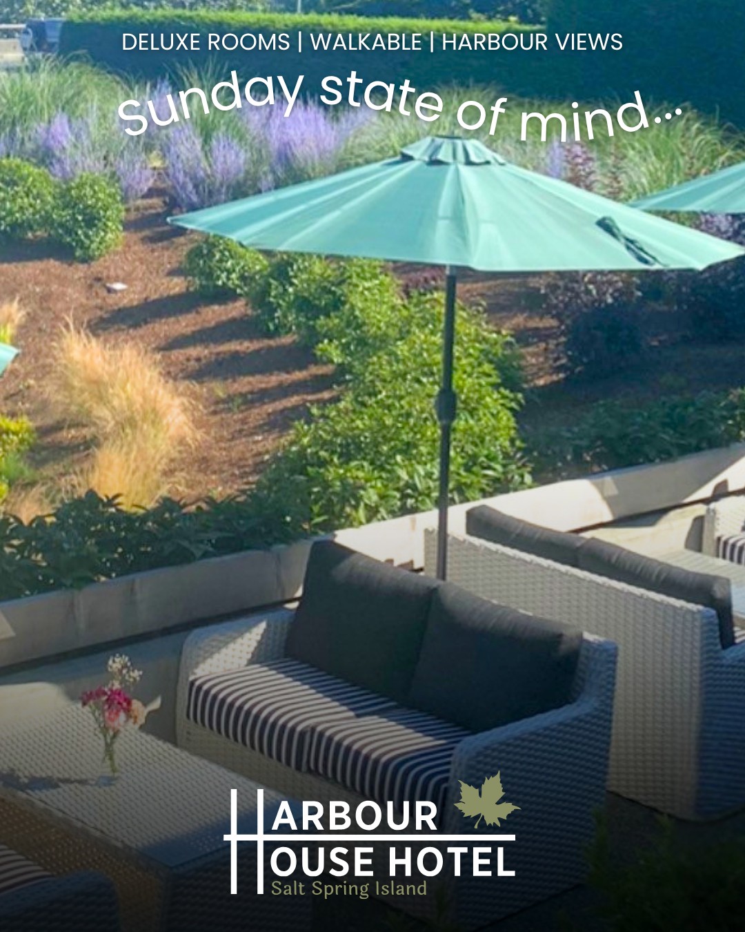 Sunday state of mind at the Harbour House Hotel. ☀️
There’s nothing quite like waking up to the views of Ganges Marina. Our location means you're perfectly situated to stroll through town, check out the local shops, and soak in the Salt Spring Island vibe.
After a day of exploring, come unwind for a delicious meal on the patio at Woodley's Kitchen.
Come see our newly renovated spaces and experience true island hospitality. We can't wait to welcome you!
🌊 Link in bio
#SaltSpringIsland #HarbourHouseHotel #BCVacation #PatioDining #IslandLife #GangesBC