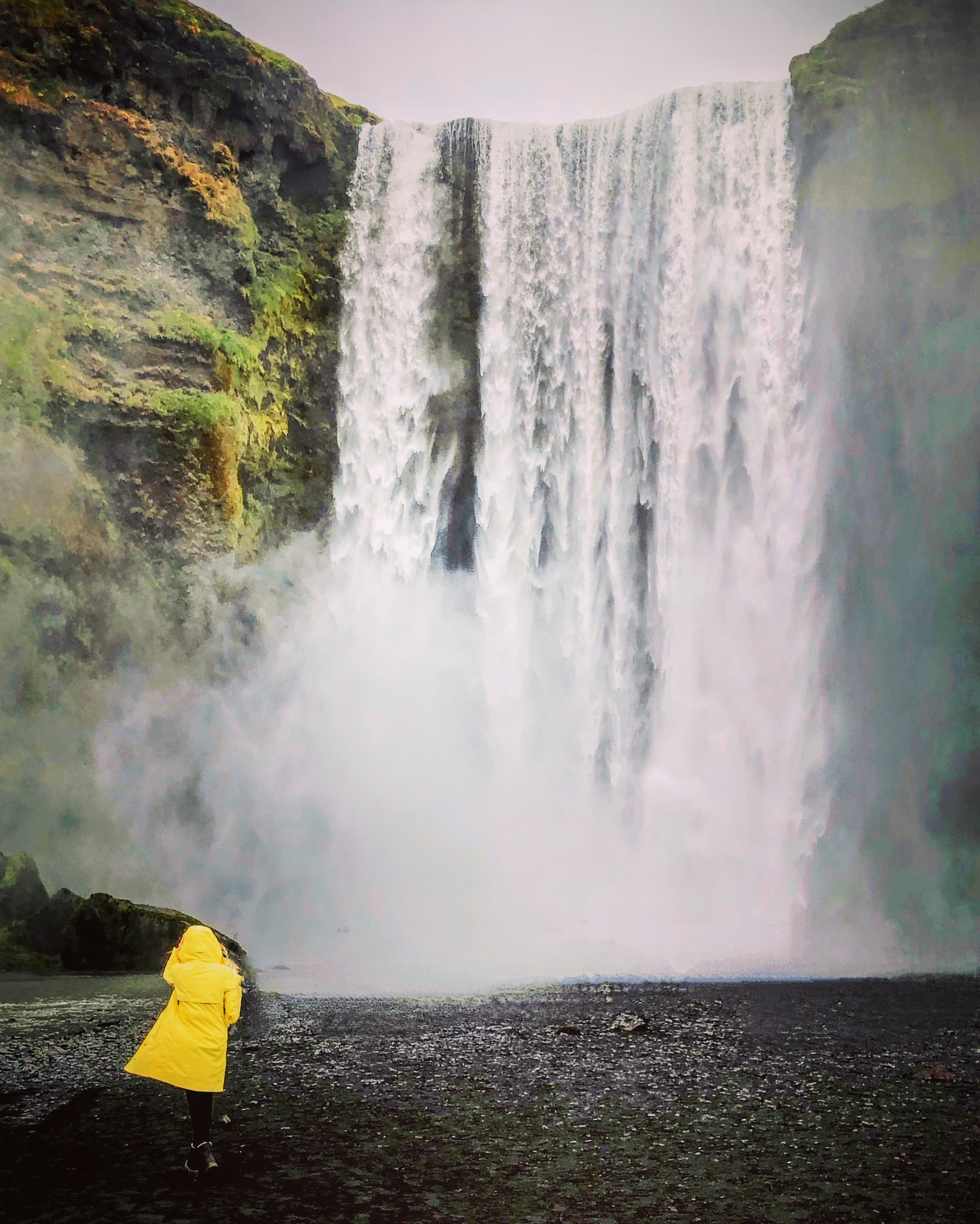 Close enough to reach.
Wild enough to feel removed.
From the East Coast, Iceland can begin with a short flight and open into a landscape that feels far from everything familiar.
Water, weather, black sand, mountain roads, and the quiet between places.
Thisland creates private journeys through Iceland for travelers who want space, care, and a route handled properly.
#Thisland
#IcelandNature
#IcelandTravel
#NordicNature
#SlowTravel
#VisitIceland