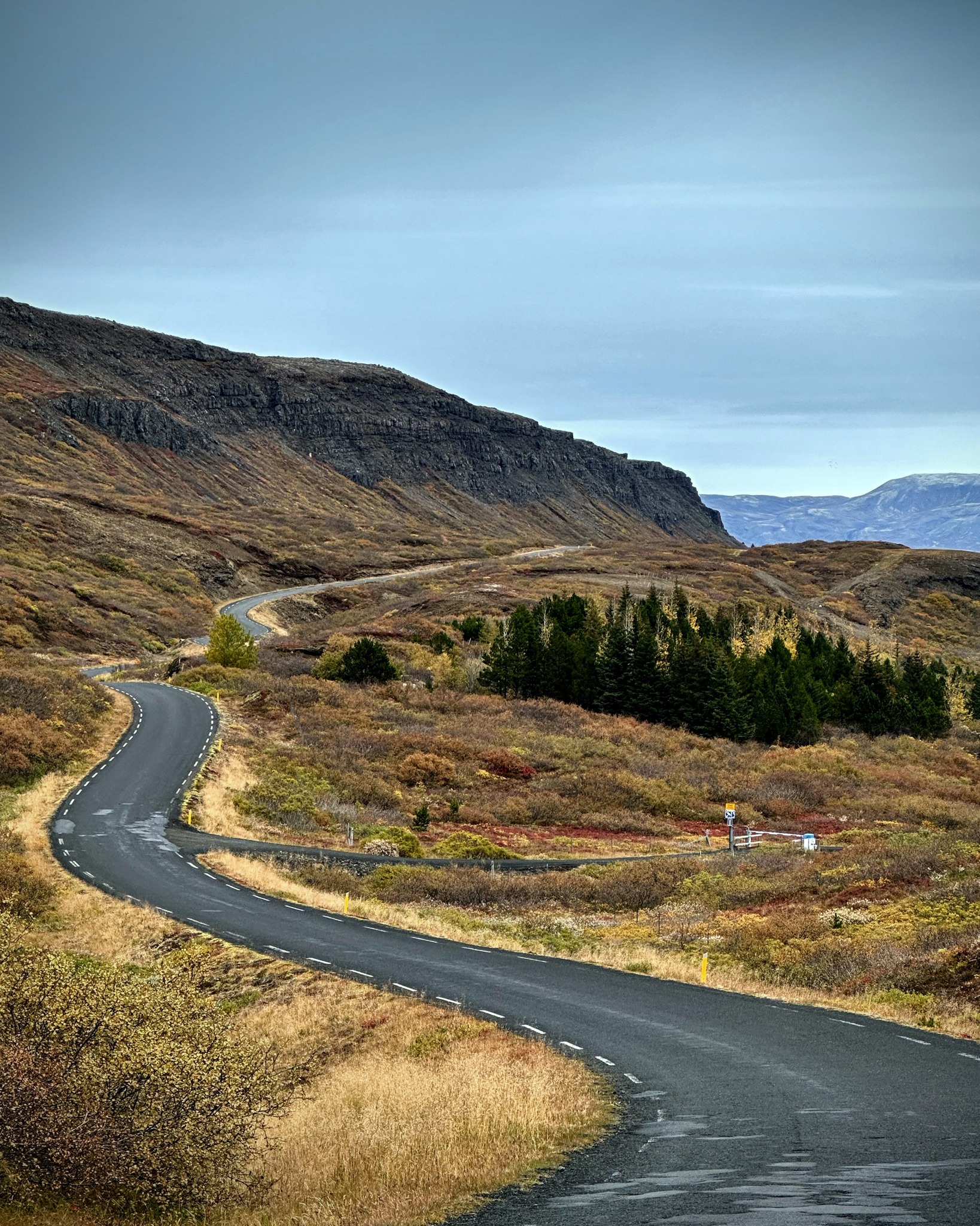 From the East Coast, Iceland is closer than it feels.
A short flight can bring you from city streets to open roads, mountain light, quiet valleys, and a landscape that moves at its own pace.
Thisland creates private journeys through Iceland for travelers who want the experience handled with care, personal, well-paced, and professionally guided.
#Thisland
#IcelandTravel
#PrivateIceland
#EastCoastTravel
#VisitIceland
#IcelandNature
#YoursToExplore