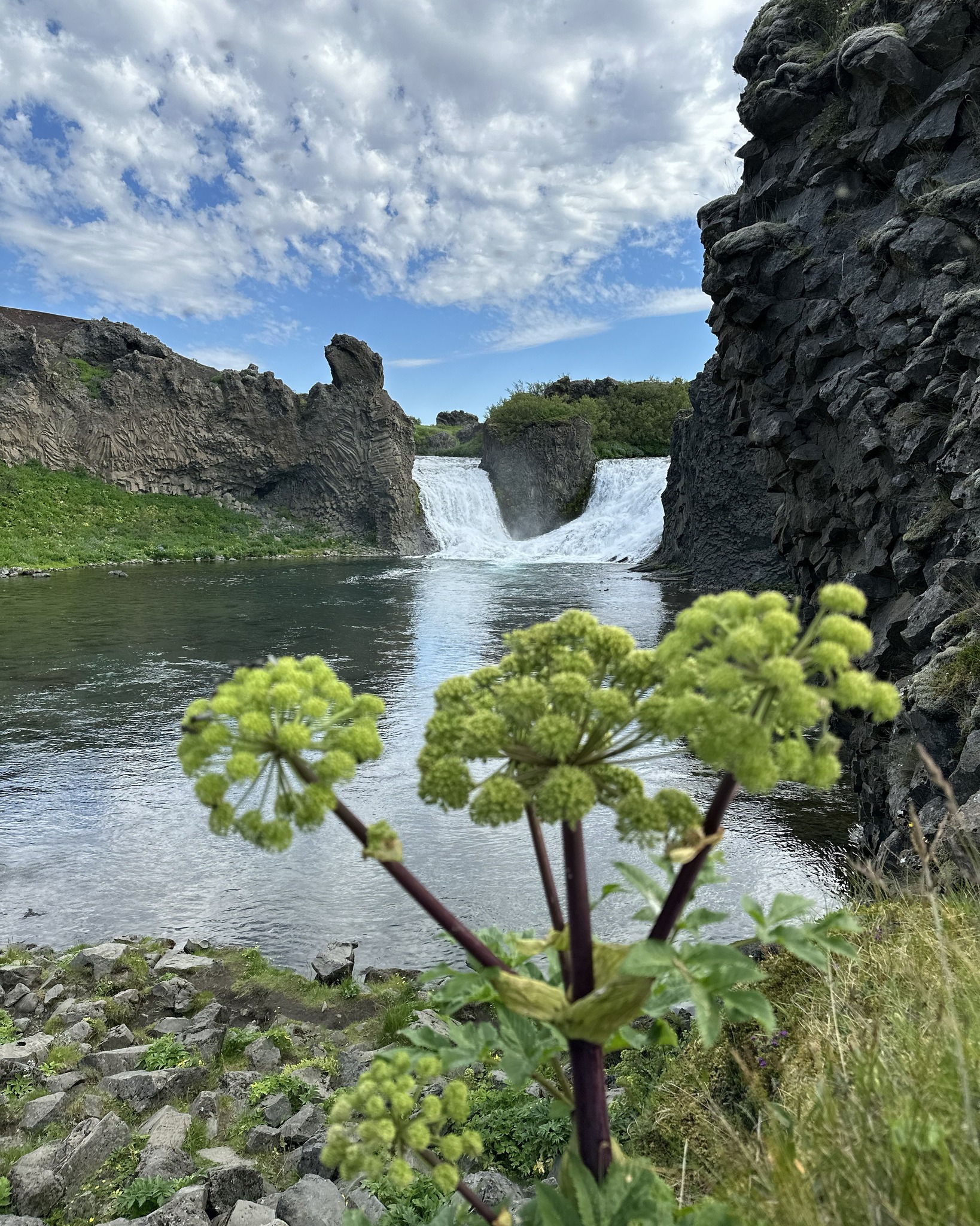 Iceland does not need to be rushed.
The better journey is often not the one with the longest list of stops.
It is the one with the right pace. Time for the road, the light, the weather, and the small details that are easy to miss.
Thisland creates private journeys through Iceland with clarity, care, and room to breathe.
#Thisland
#SlowTravel
#IcelandNature
#PrivateIceland
#VisitIceland
#YoursToExplore