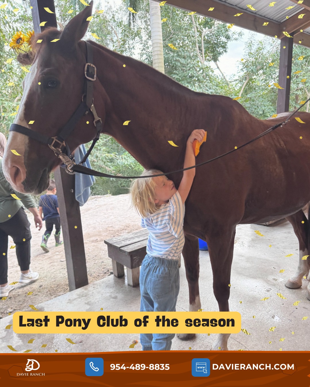 The final Pony Club of the season is here! ๐ด
(๐๐ฐ๐ฎ๐ฎ๐ฆ๐ฏ๐ต: ๐ฃ๐ข๐ก๐ฌ๐๐๐จ๐ ๐ข๐ฏ๐ฅ ๐ธ๐ฆโ๐ญ๐ญ ๐๐ ๐บ๐ฐ๐ถ ๐ต๐ฉ๐ฆ ๐ญ๐ช๐ฏ๐ฌ ๐ต๐ฐ ๐ณ๐ฆ๐จ๐ช๐ด๐ต๐ฆ๐ณ)
What a wonderful first half of the year it has been watching our Pony Clubbers grow in confidence, make new friends & create unforgettable memories with our horses and farm animals.
From beginner riding lessons and grooming to petting zoo fun, chicken coop adventures, and outdoor play, Pony Club has become a Friday favorite for so many families.
If your child has loved Pony Club, they are going to LOVE Pony Camp this summer!
Designed especially for younger children, Pony Camp is the perfect next step for kids who canโt get enough of horses, animals, and outdoor adventures. Campers enjoy:
Daily horseback riding
Hands-on horse care
Arts & crafts
Nature-based activities
New friendships and summer memories
Think of it as Pony Clubโฆ only bigger, longer, and packed with even more fun.
๐๐ผ Register for the Last Pony Club of the season
๐๐ผ Summer Pony Camp registration is now open
๐๐ผ Limited spots available
Comment PONYCLUB and we'll send you the link with information on both Pony Club and Pony Camp.
#summercamp
Kids pony club near Davie Florida with horse riding, animal interaction, and outdoor activities for ages 4โ8