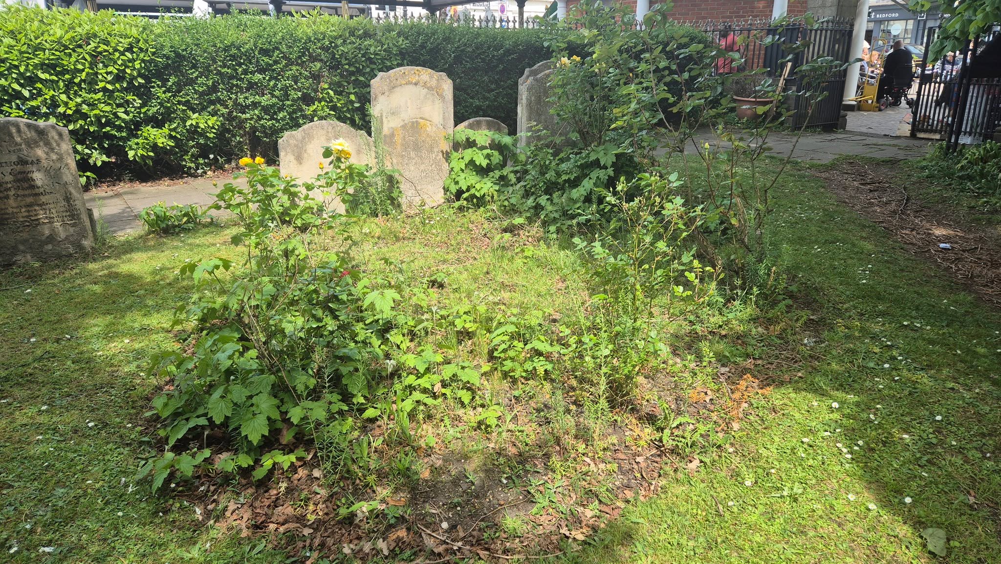 Before and after: Thank you to all those wo came to weed, prune, dig, plant and clean on Saturday in our churchyard. The photos show just one small area of the churchyard we were able to transform. Good fun was had by all in the glorious weather - do keep an eye out for the next opportunity to join us.