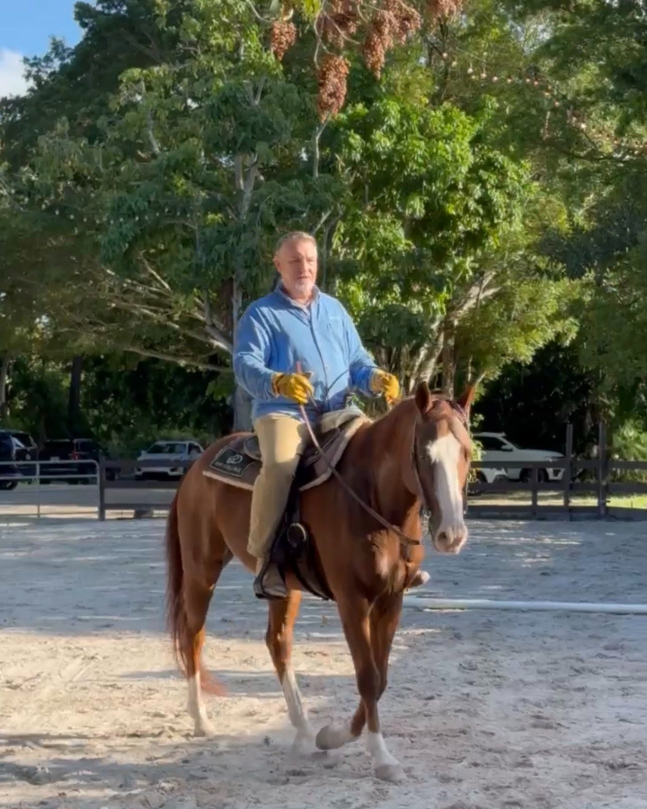 Horseback riding isnโt just for kids.
Whether youโve always dreamed of learning to ride, want to reconnect with something you loved growing up, or are simply looking for a unique way to unwind outdoors, our adult riding lessons offer the perfect opportunity to do something just for you.
Thereโs something incredibly grounding about spending time with horsesโthe fresh air, the connection, and the confidence that builds with every lesson.
At Davie Ranch, we welcome beginner and experienced riders alike and offer both Western and English instruction in a supportive, relaxed environment.
๐ค Adults of all ages welcome
๐ค Beginner-friendly lessons
๐ค Western & English riding
๐ค A beautiful outdoor setting in the heart of Davie
Because sometimes the best form of self-care is stepping outside your comfort zone and into the saddle.
DM RIDING and weโll send you all the details.
#horsebackriding
Adult horseback riding lessons in Davie, FL for beginners and experienced riders seeking confidence, connection, and outdoor wellness experiences.