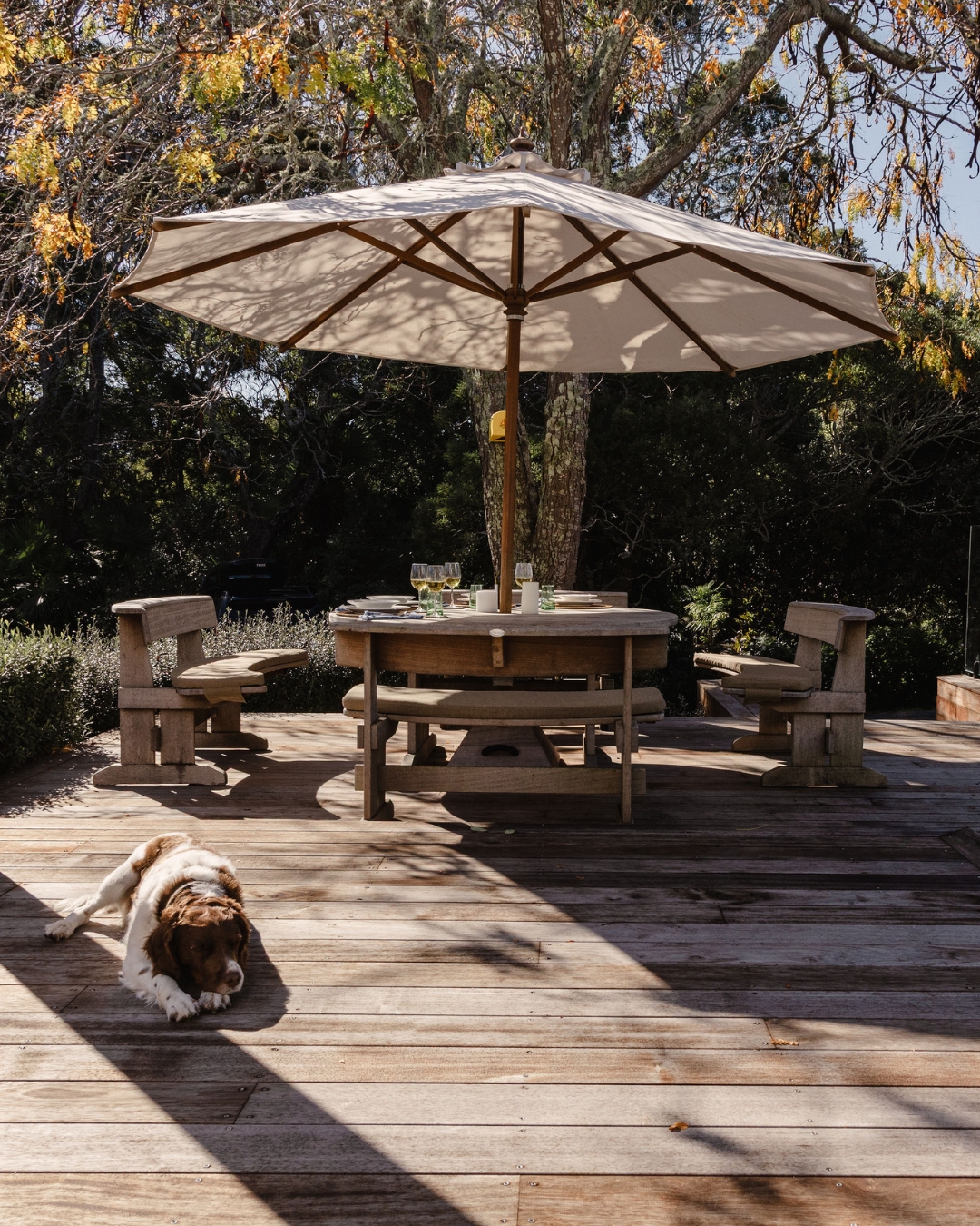 Sunlight across the deck, a table set beneath the trees, and the dog keeping watch from the best spot in the shade.
The Ethan Setting is made for days that unfold naturally - breakfast drifting into lunch, glasses gathering on the table, and the quiet comfort of being at home outdoors.
Crafted from enduring Iroko hardwood, every curve and detail is designed to bring people together, season after season.
Timeless. Social. Made to weather beautifully.
Proudly Designed & Handcrafted in New Zealand Since 1984.
Explore more on our WEBSITE, link in bio!
@alanahbrownphoto