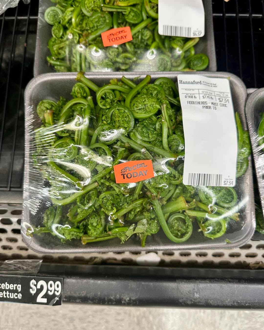 Fiddleheads are in again, catch them while you can!!
