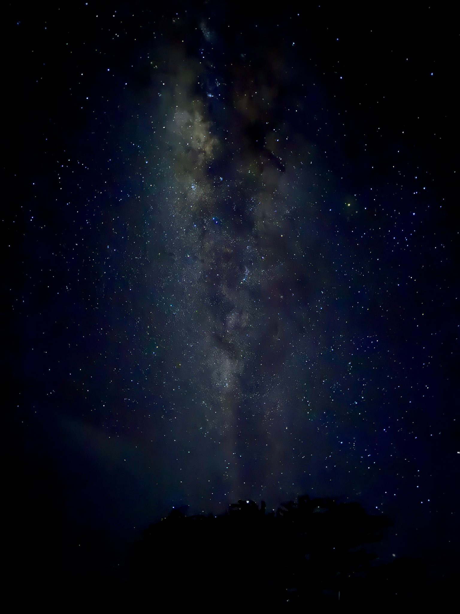 Don’t forget to look up ✨
Around 3am, I woke up. I decided to see if Zola would go outside. I’m sure glad I did!
The galaxy spread across the ENTIRE sky! I wish I could have gotten it all in one shot. It is absolutely stunning!!!
Pictures do it no justice. But I had to share!
There’s nothing like admiring Gods masterpiece while hearing elephants destroying trees nearby 😂