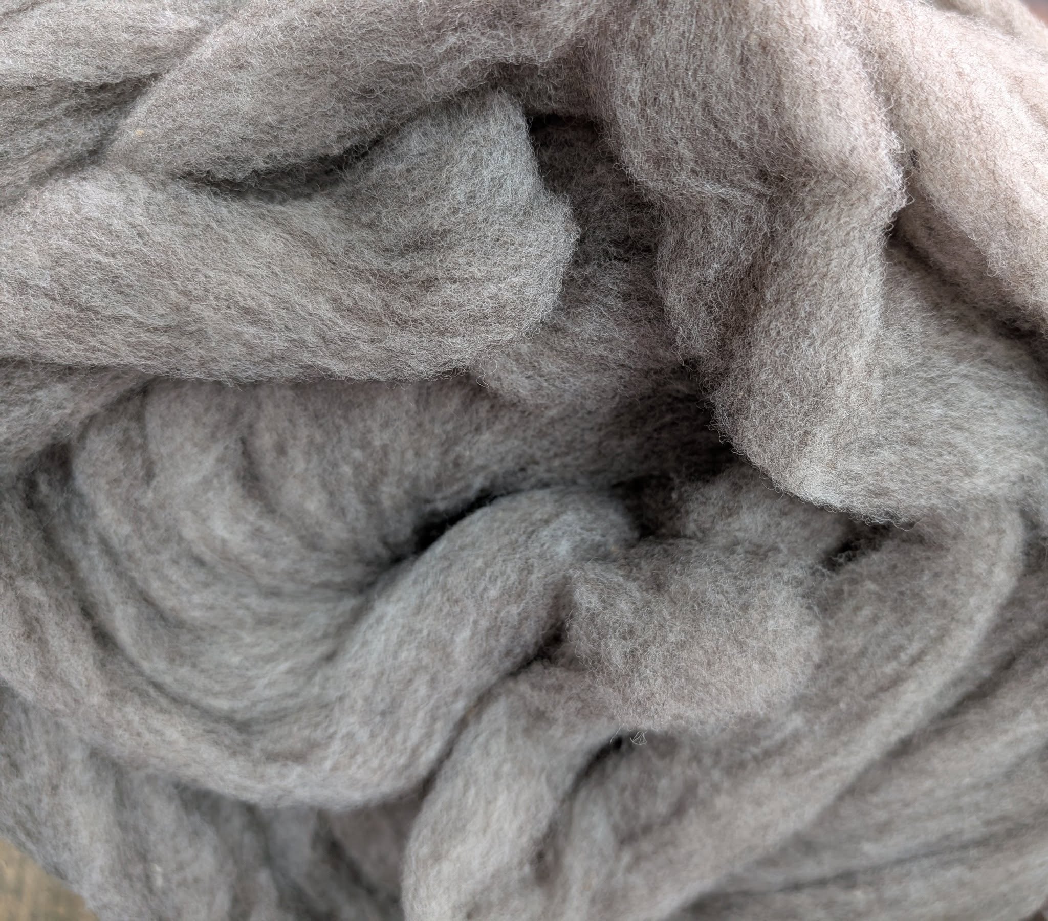 Light coloured Ryeland roving are back in stock!
Ryeland sheep come in two shades - white and coloured. Within the coloured fleeces there are always some lighter coloured ones which I like to separate out for processing into rovings and yarn. There are less of them than the darker fleeces so we only get small volumes back from the mill.
The micron count is 25-32 and staple length is 3-5 inches. And it so soft you just don't want to stop squishing it!
Check it out in fibres on woolplay.co.uk
#woolfibre #handspinning #woolcrafts #SheepBreeds #NaturalFibres #ryelandsheep