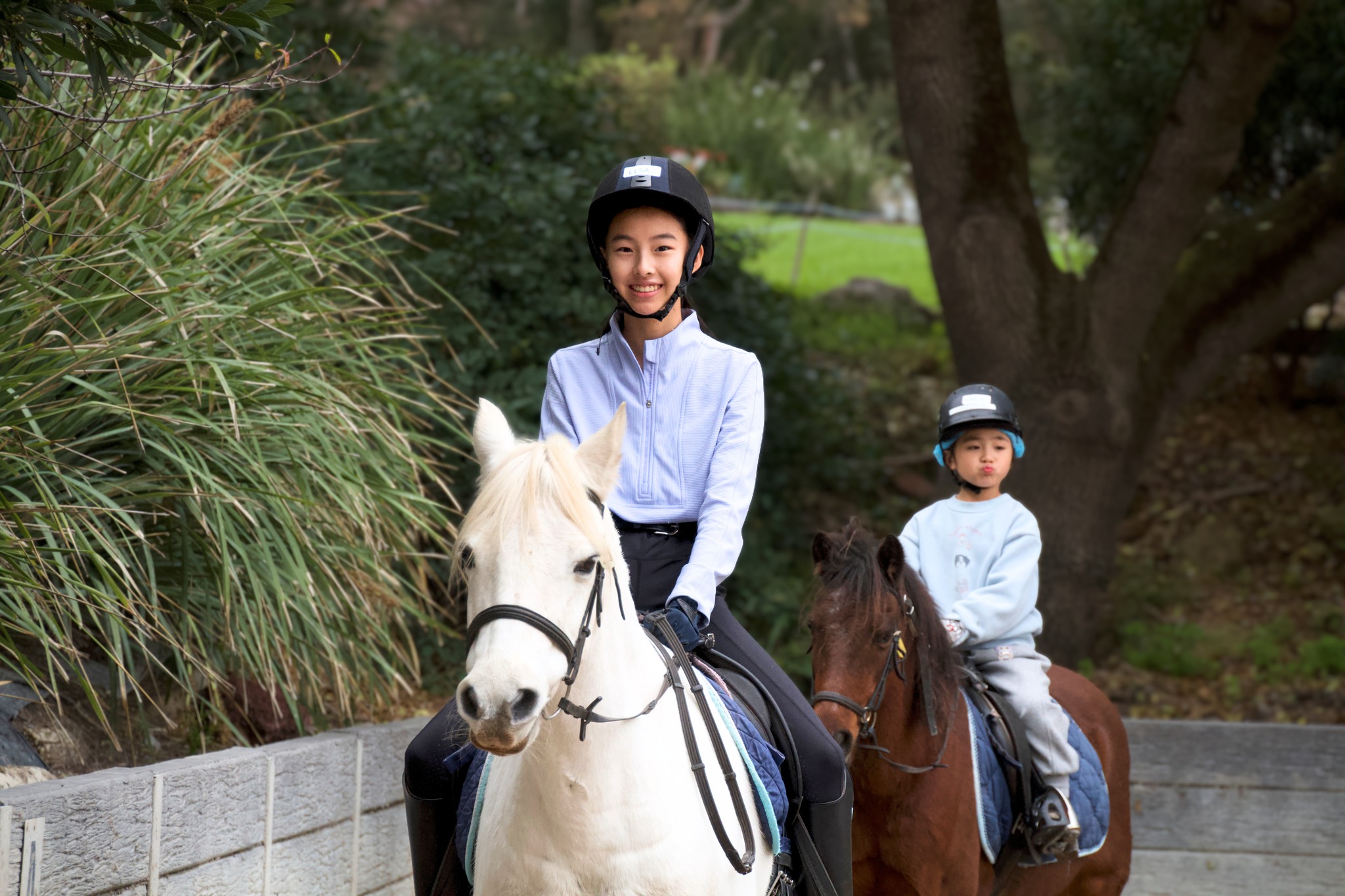 Pair up and save $290 👫
Save $29 PER LESSON when you convert your regular private lessons to semi-private lessons.
This means...
Weekly riders save $290 over the whole term
Fortnightly riders save $145 over the whole term
This offer applies only when you convert your regular 45 minute private (1 rider) lessons to 45 minute semi-private (2 riders) lessons.
Same duration, same quality coaching and more affordable way to ride consistently. Pair up with a friend or make a new friend!
Joining us for Term 3? Get in touch to book today!
#horseridingnearme #melbournehorseriding #learntoride #ridinglessons #childrensriding
(Savings calculated based on Term 3's 10-week term. Other terms may have different durations, and savings may also be affected by public holidays or facility closures, which will proportionally adjust total savings.)