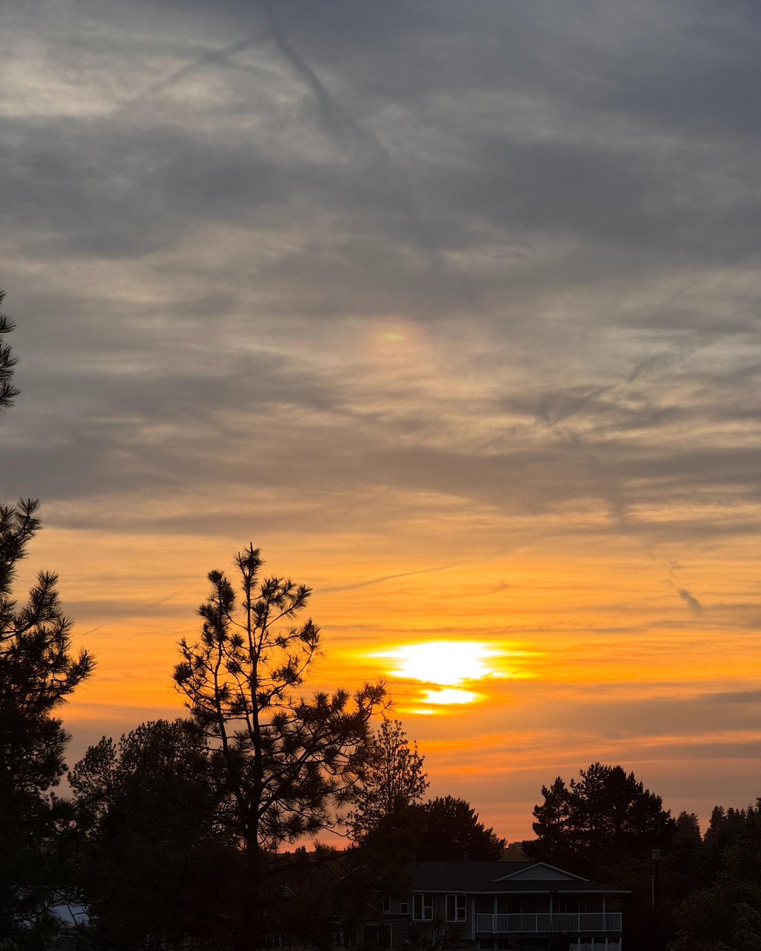 Country living at its finest.
Quiet evenings, spectacular sunsets, and that peaceful moment when the day slows down and the sky decides to show off. 🌅
#CountryLiving #SunsetViews #QuietEvenings #SimpleJoys #GodsCreation #CountryLife