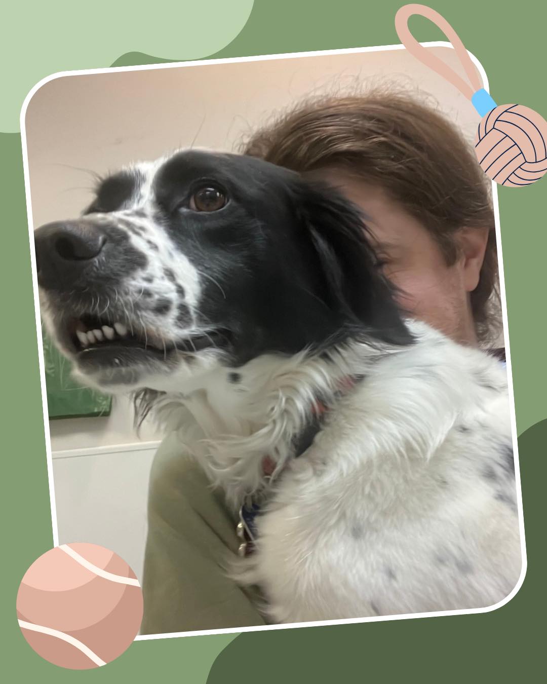 Starry-eyed pups 🐾
How can anyone say no to these eyes?
👉 swipe and fall in love💚
#GivingTree #Virginia
#GivingTreePetResort #Reston
#Dogboarding #PetResort
#Starryeyed #pups