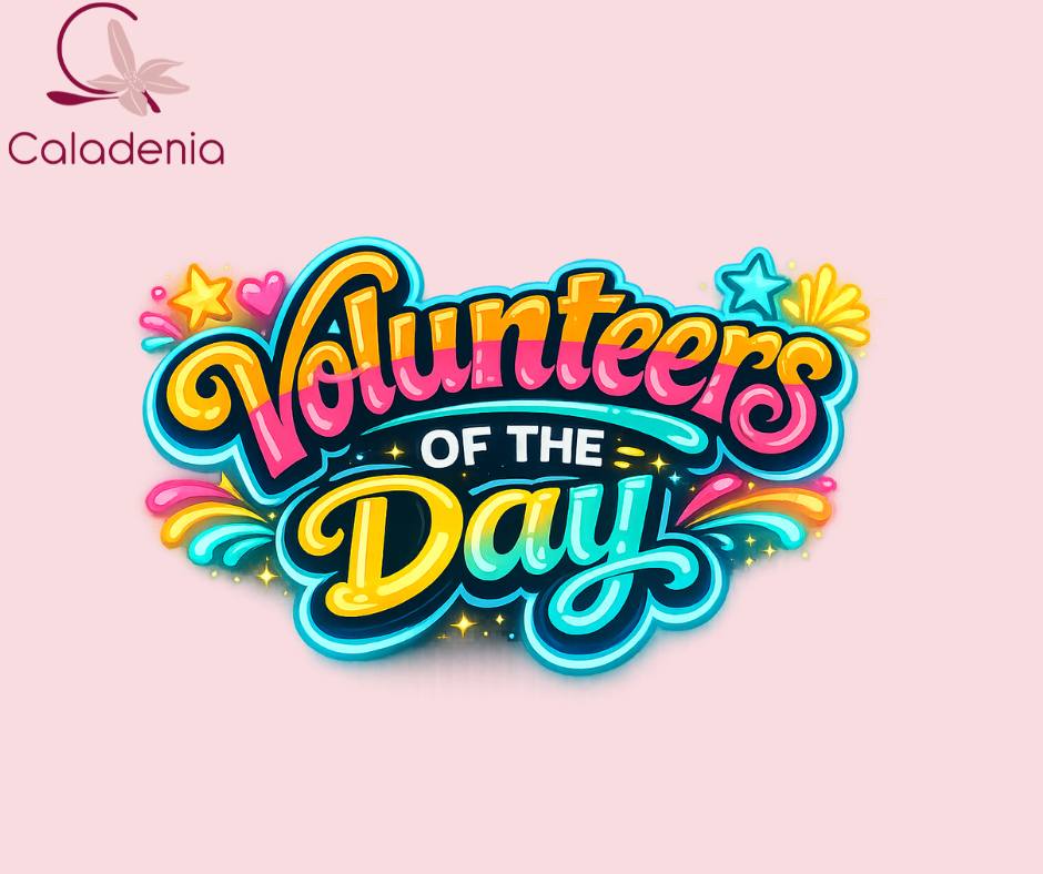 Thank you! 💕
If you volunteer, what does volunteering mean to you?