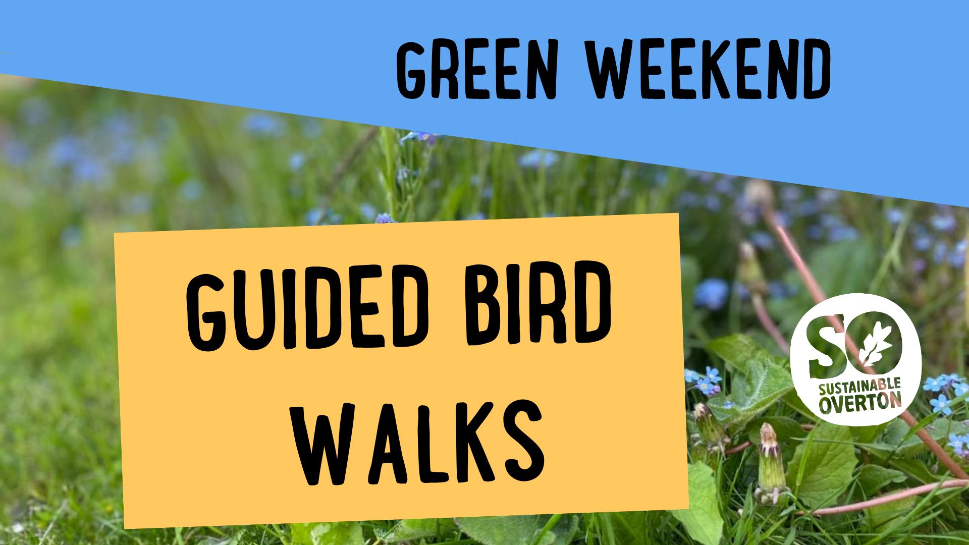 Did you know Overton is home to some brilliant birdlife?
Join our guided bird walks on Saturday 6 AND Sunday 7 June. Perfect for beginners - all you need is curiosity!
Find out about all our Green Week activities and events on our website www.sustainableoverton.org.uk/greenweek
#GreenWeekOverton