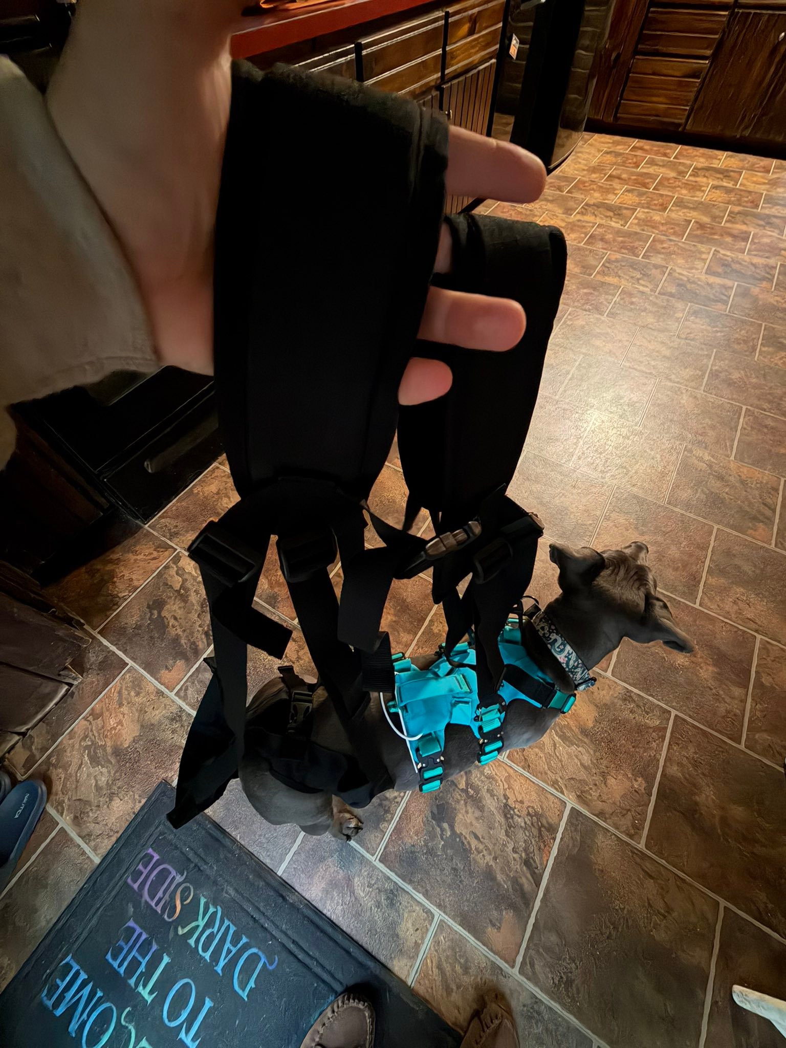 I attended a WFA class over the weekend, during which I learned about various scenarios that I hope to never experience. Tonight, I transitioned to introducing the little dragon to a K9 Rescue sling. Although she was not a huge fan, I appreciate her trust in me to position her in this unusual apparatus, lift her up, and walk around with her without making a peep. This is another skill I hope to never utilize in the wilderness, but I am happy to practice it in case it becomes necessary 🤎
#Maine #hiking #dog #rescue #skill