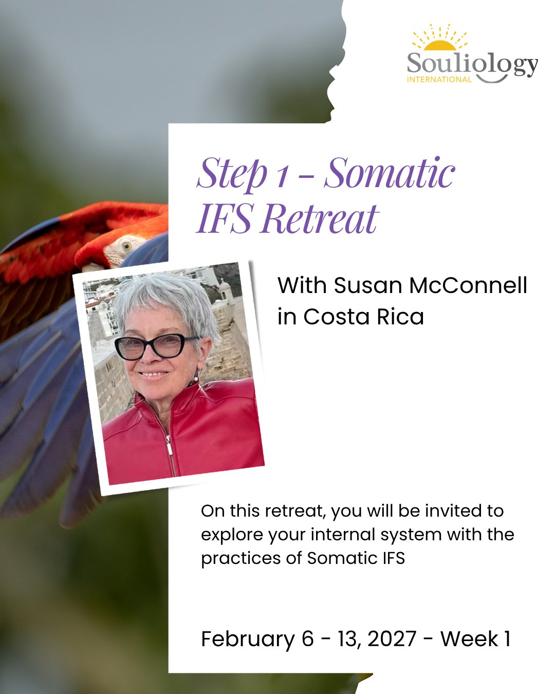 Many practitioners come to IFS through insight, language and inner listening.
Somatic IFS invites another doorway into the system: the body.
This Step 1 Somatic IFS retreat with Susan McConnell in Costa Rica offers IFS therapists and practitioners an experiential introduction to working with parts through sensation, movement, breath and embodied awareness.
You’ll explore how parts may show up physically, how the body can support access to Self energy, and how Somatic Internal Family Systems can deepen both personal healing and clinical presence.
Across the retreat, you’ll be introduced to the five core practices of Somatic IFS:
Somatic awareness
Conscious breathing
Radical resonance
Mindful movement
Attuned touch
Through guided exercises, journalling, demonstrations and small group practice, this retreat offers a grounded way to bring more embodiment into your Internal Family Systems work.
Learn more and apply at www.souliology.com