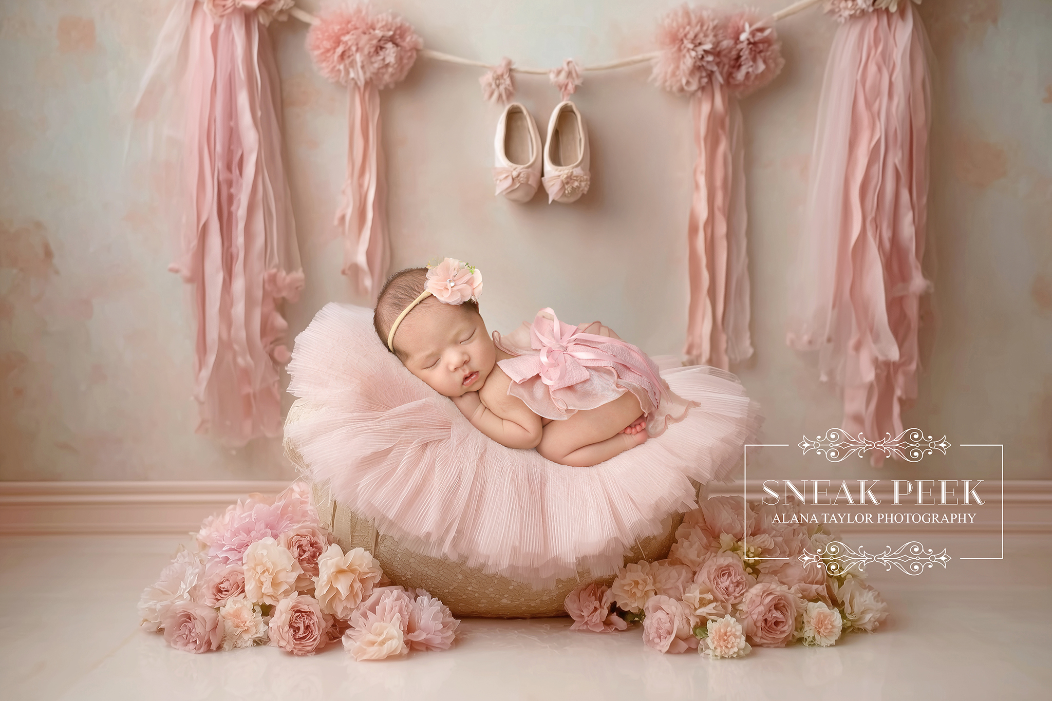 Nothing humbles a family faster than adding another tiny princess to the chaos 😂
Baby Faeya officially made her studio debut and honestly… she came in looking like she already had management.
Tiny. Perfect. Adorable. Zero interest in following anybody else’s schedule. 🩷
I’ve had the absolute privilege of photographing this gorgeous family over the years, and seeing them walk back into my studio with another beautiful baby never gets old 🩷
There’s always that moment during newborn sessions where everyone is running on approximately 11 minutes of sleep total, yet somehow the baby still arrives looking fresh, moisturised and effortlessly photogenic while the parents are hanging on by iced coffee and pure determination ☕😅
Faeya was an absolute dream for her newborn session and gave me all the squishy newborn goodness photographers become emotionally attached to. Little yawns, curled-up poses and cheeks that genuinely deserve their own fan club 🥹📸
Safe to say this little princess is already very loved ✨
#newbornphotographermelbourne #newbornphotographyau #babygirlnewborn #newbornsession #melbournebabyphotographer #clydevicphotographer #cranbournephotographer #berwickphotographer #pakenhamphotographer #southeastmelbourne #newbornstudiophotography #babyphotoshoot #newborninspiration #alanataylorphotography #babygirlphotographer
Melbourne’s Leading Newborn and Cake Smash Photographer – Book Early!
www.alanataylorphotography.com.au
- Newborn Photography Melbourne
- Smash Cake Photography Melbourne
- Newborn Photographer Melbourne
- First Birthday Cake Smash Photos Melbourne
- Cake Smash Photography Near Me
- Cake Smash Photos Melbourne
- Newborn Photography Near Me
- Newborn Baby Photographer Melbourne
- Cake Smash Photographer Melbourne
- Affordable Newborn Photography Melbourne