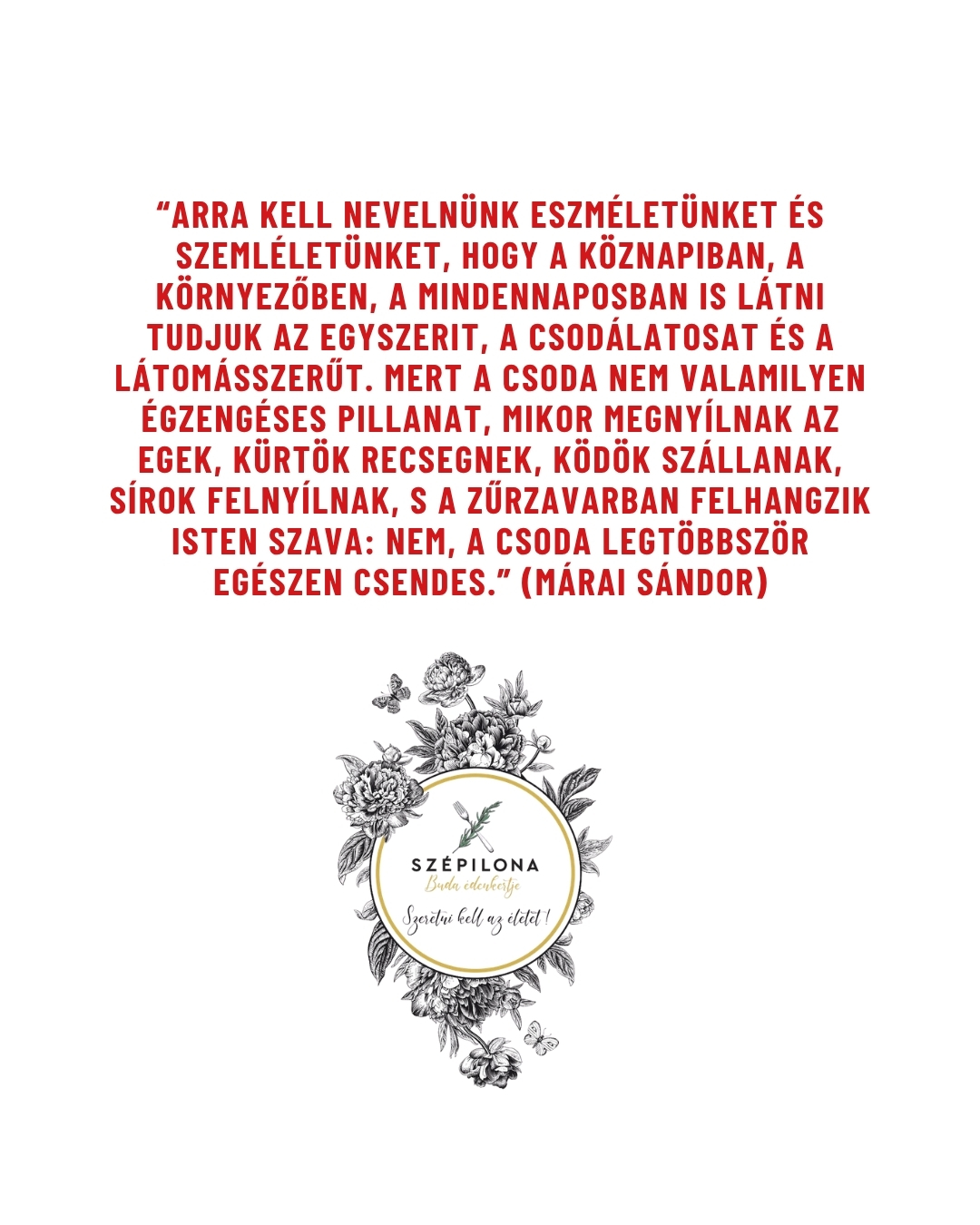 📖⏳🤍✨
#szepilona #szepilonabisztro #szeretnikellazeletet #buda #restaurant #mood #Márai #MáraiSándor