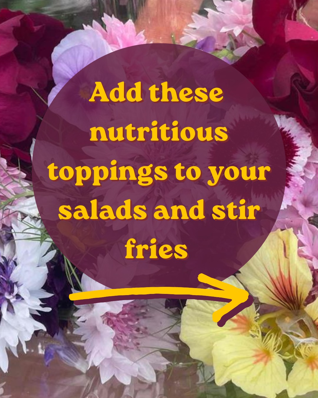 Looking to boost your creativity and health with your next salad? Order these salad toppers and stir fry additions above at our storefront.
#EdibleFlowers #EdibleFlowersMD #MicrogreensMD #MarylandMicrogreens #PeaShoots #BaltimoreEats #BuyLocalBaltimore #MarylandMade #ChesapeakeRegion #FarmToTable #LocalFood #SupportLocalFarms