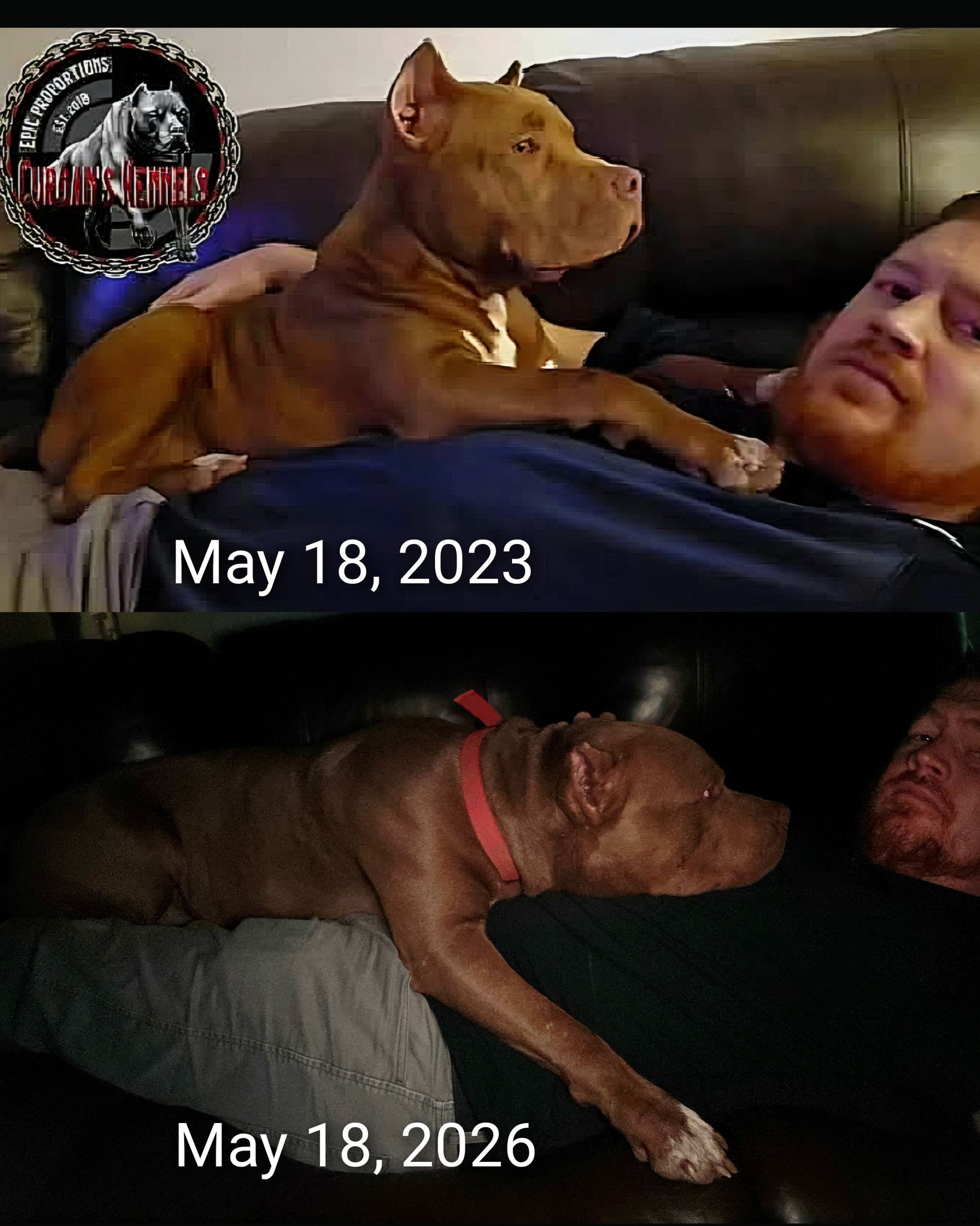 They grow up too fast. ❤️
#doglover #dogsofinstagram #mansbestfriend #doglife #dog