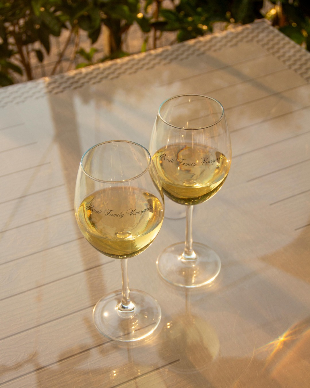 Saturday is the perfect day to slow down and savor the experience. Enjoy award-winning wines, our tasting menu, and the peaceful beauty of the vineyard.
Whether you're sharing a bottle with friends or discovering a new favorite, there's no better place to spend your afternoon.
#briedefamilyvineyards #virginiawine #vawine #winchesterva #winetasting #wineweekend #shenandoahvalley #boutiquewinery #sipandstay #visitvirginia #winewithaview #smallbatchwine