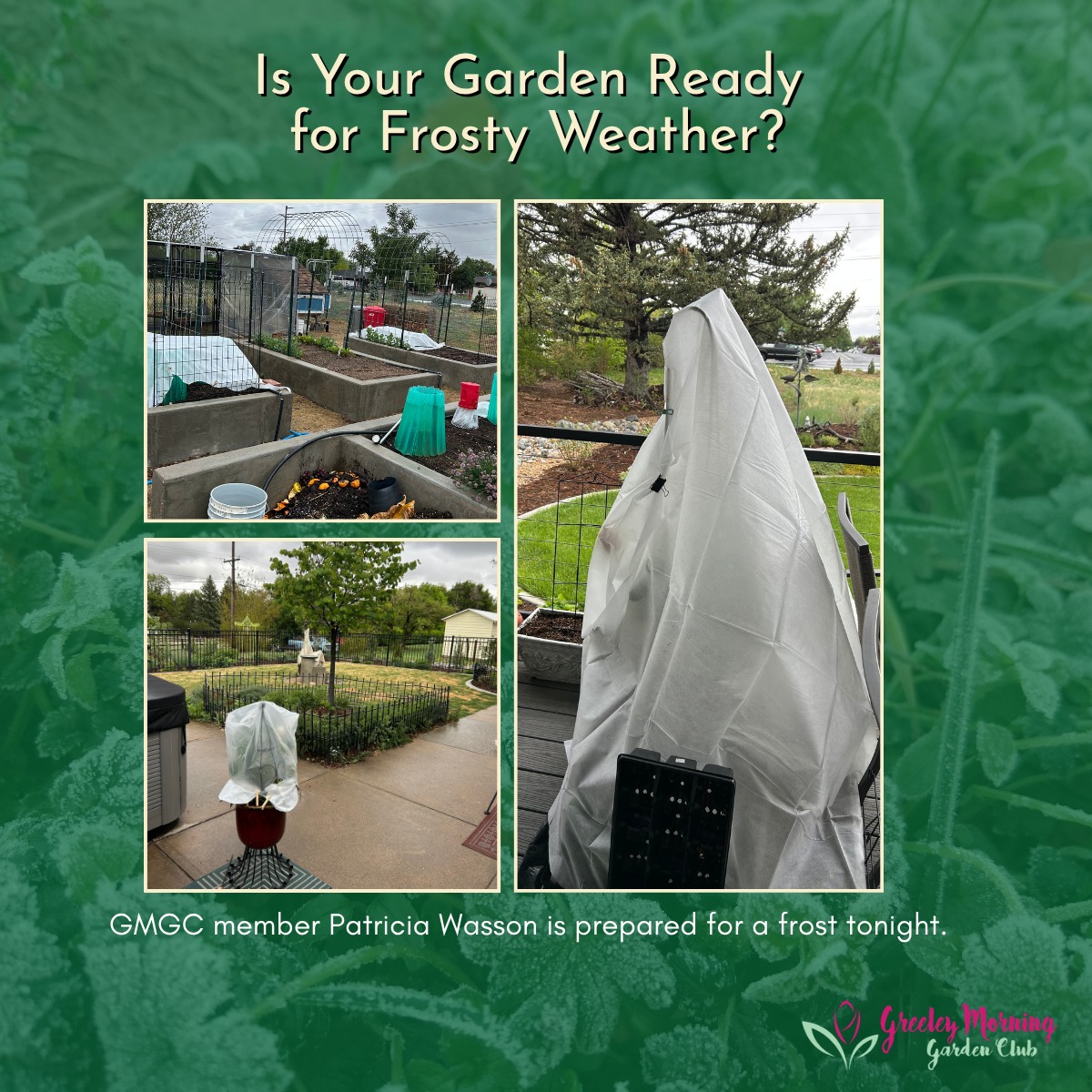 It might get a little cold for your plants outside tonight. Garden Club member, Patricia Wasson, has prepared her garden for a frost tonight.