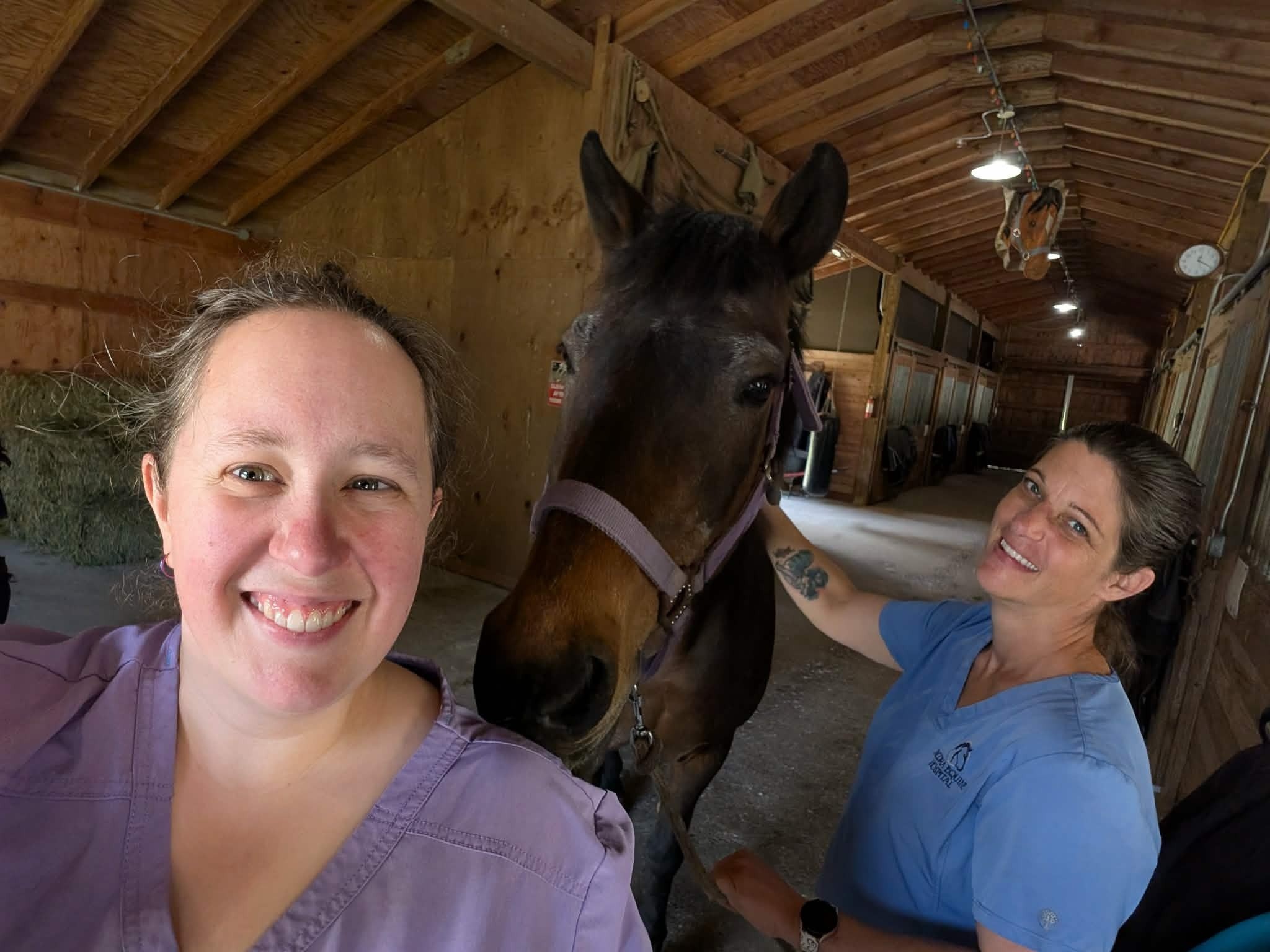 Chance believes in sharing the love! Dr Valerie and Sabrina got back rubs from this patient during their visit ♡