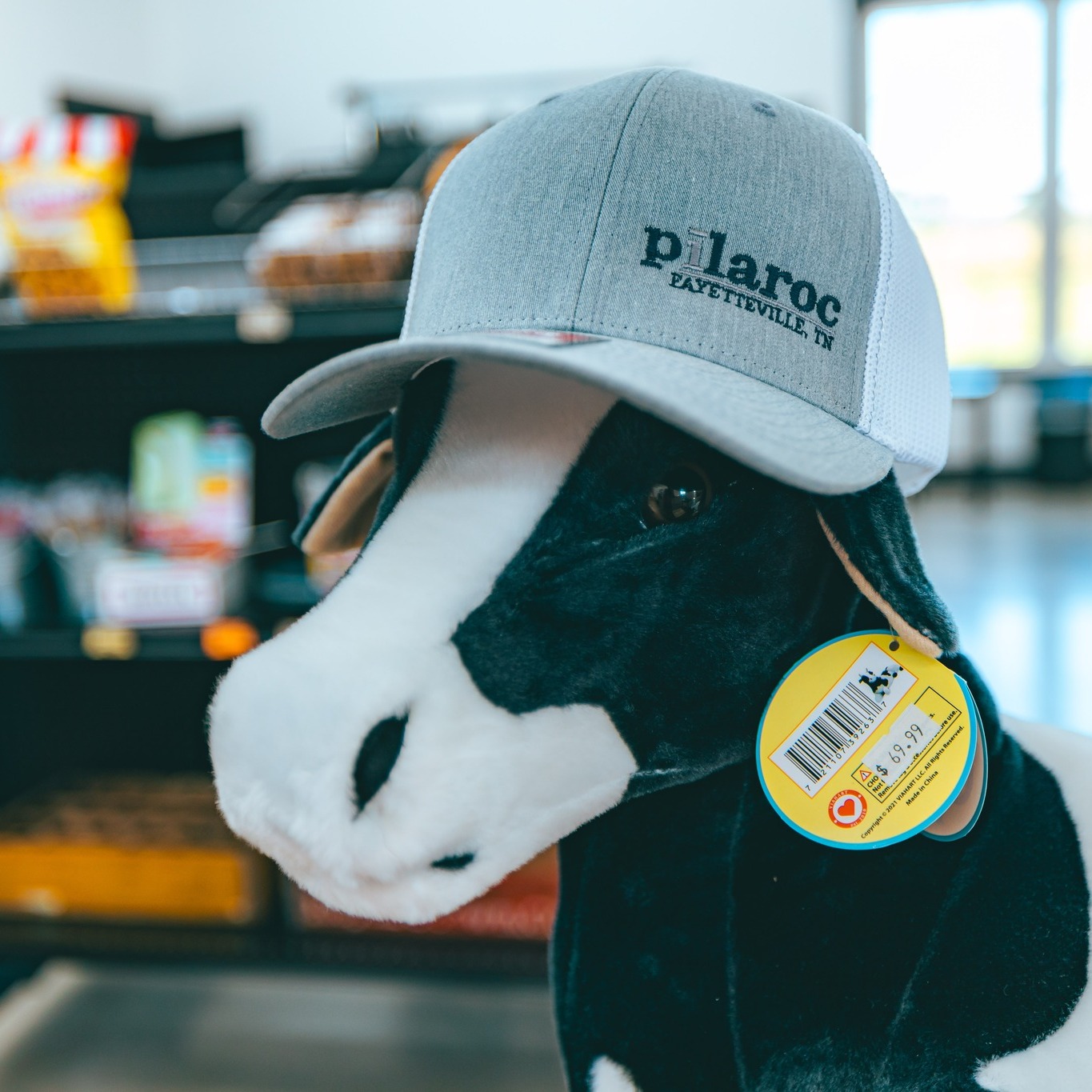 Stock up on farm-fresh products and made-in-Tennessee favorites at the Pilaroc Farms' Marketplace! 🧺
📍Fayetteville, TN
📸: Morrison Visuals
#VisitFayettevilleTN
