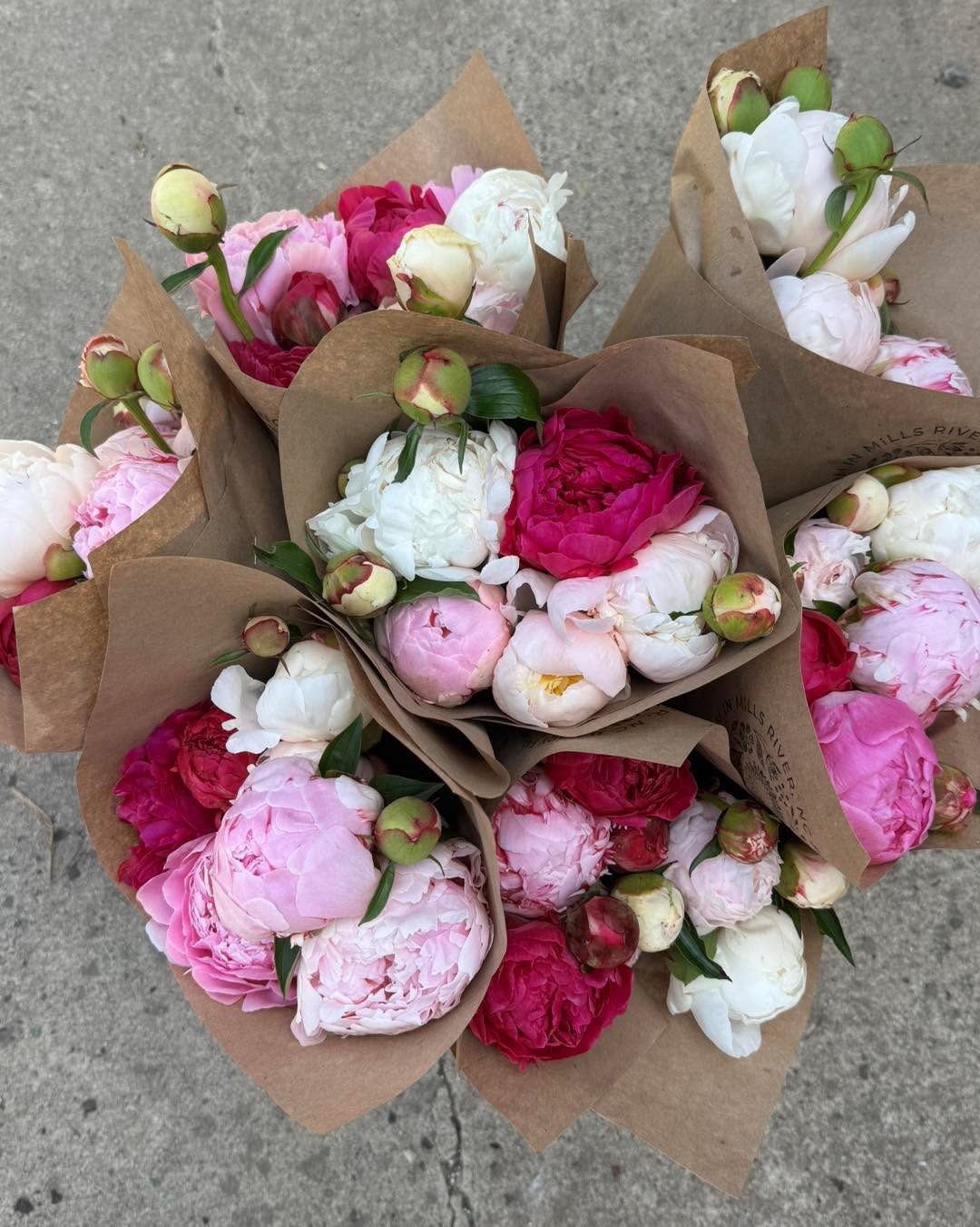 💐Flower Shack Wednesday💐what’s your favorite mix here? Personally I love the pink and yellow bucket 🩷 💛
We still have lots of peony but we’re getting down to the end, I’d be sure to get them TODAY! Peony bunches and mixed bouquets are $20
Our plant highlight this week is a great collection of EDIBLE flowering plants: nasturtium, calendula, borage, chamomile, viola, profusion zinnias, bee balm, lavender and pineapple sage. We also have lots of pink mountain laurel! And last call for peony plants.
📍 345 Kimzey Rd Mills River, NC
Opening *early* today 8am-7pm Self Serve: exact cash, Venmo or check
✨I’ll be restocking throughout the day!✨