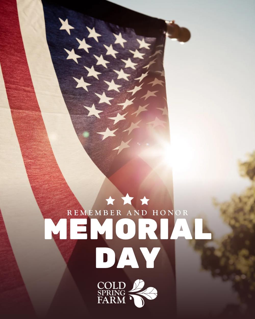Today we remember and honor the brave men and women who sacrificed their lives for our freedom 🇺🇸❤️